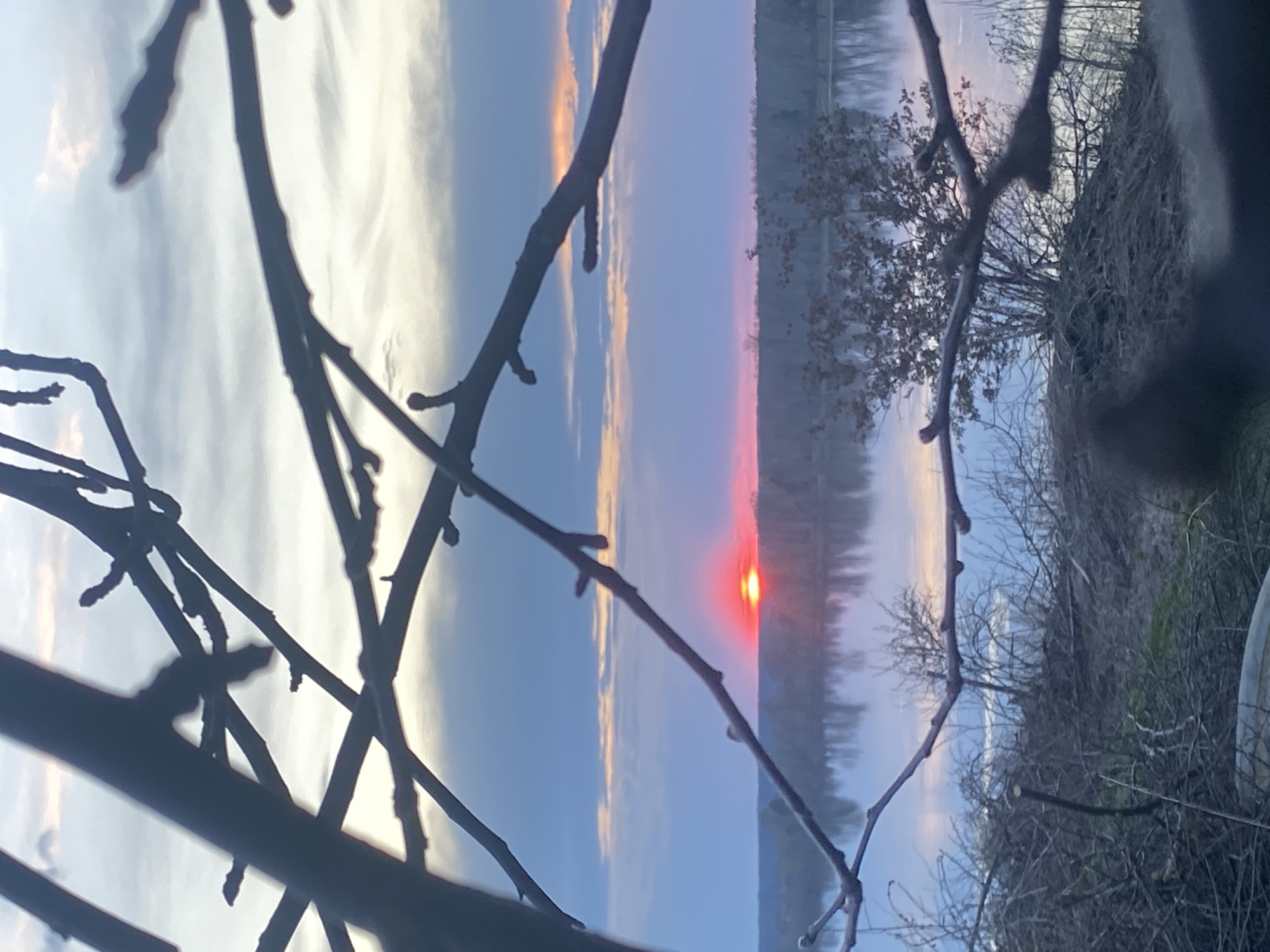 The image shows a landscape at sunset or sunrise, obscured by bare tree branches in the foreground. In the distance, a red-orange sun is visible on the horizon over a body of water, likely a river or lake. The sky transitions from light blue near the horizon to darker blue and grey further up. There is vegetation and what appears to be a building or structure on the opposite shore. The location is possibly in Ольховка, Russia, based on the prompt. No people are visible in the image. The primary subjects are the tree branches and the distant landscape. The action is the setting or rising sun. The environment is a natural one with water and sky, possibly bordering a residential area.