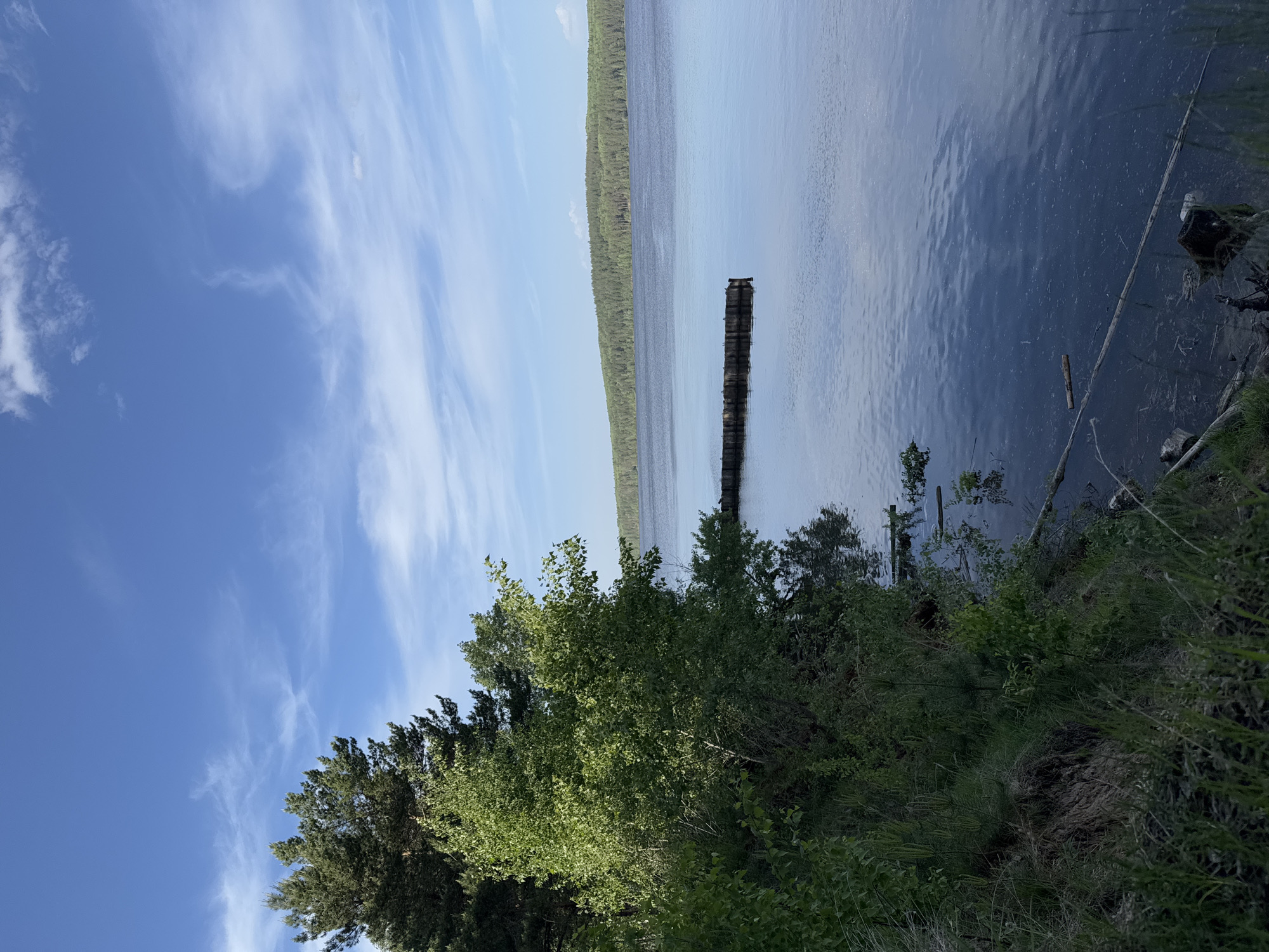 The image depicts a lake scene in what is likely the city of Chaikovsky, Russia, as indicated in the prompt. The view is oriented along the shoreline, from a position near the water's edge looking out over the lake. The sky is partially covered with streaks of wispy clouds, suggesting high-altitude winds.
The lake water is relatively calm with a slight ripple and reflecting the sky. A line of wooden posts extends into the lake. The shoreline is covered with lush vegetation, primarily consisting of trees and bushes with various shades of green foliage. Some fallen branches and debris are visible near the water's edge. No people are seen in the image.