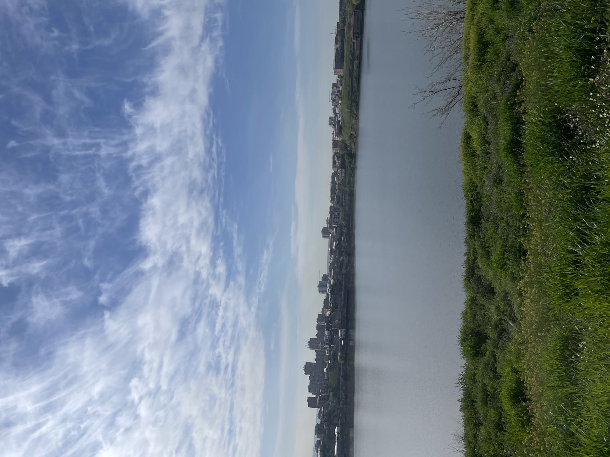 The image depicts a panoramic landscape, rotated 90 degrees clockwise from its natural orientation. When viewed correctly, it shows a wide river flowing through an urban area under a clear, partially cloudy sky.
In the foreground, a vibrant green embankment stretches across the bottom portion of the frame. It is densely covered with grass and various green vegetation, interspersed with small white and purple wildflowers. A few bare tree branches, suggesting early spring or late autumn, are visible towards the upper left side of this grassy bank.
The midground is dominated by a wide, calm body of water, likely a river, which appears grayish-blue and reflects the sky above.
Across the river, in the background, a moderately dense cityscape lines the far bank. Numerous buildings of varying heights and architectural styles, predominantly in shades of gray and concrete, form the urban silhouette against the horizon.
The sky occupies the upper portion of the image, a bright blue canvas adorned with delicate, wispy white cirrus clouds stretching horizontally.
The scene captures a peaceful daytime moment, possibly morning or late afternoon, with soft, natural lighting. There are no people or specific activities taking place. The overall impression is one of natural beauty bordering an urban environment. No visible text is present in the image. Given the location context, this is likely a view of the Hrazdan River in Yerevan, Armenia.