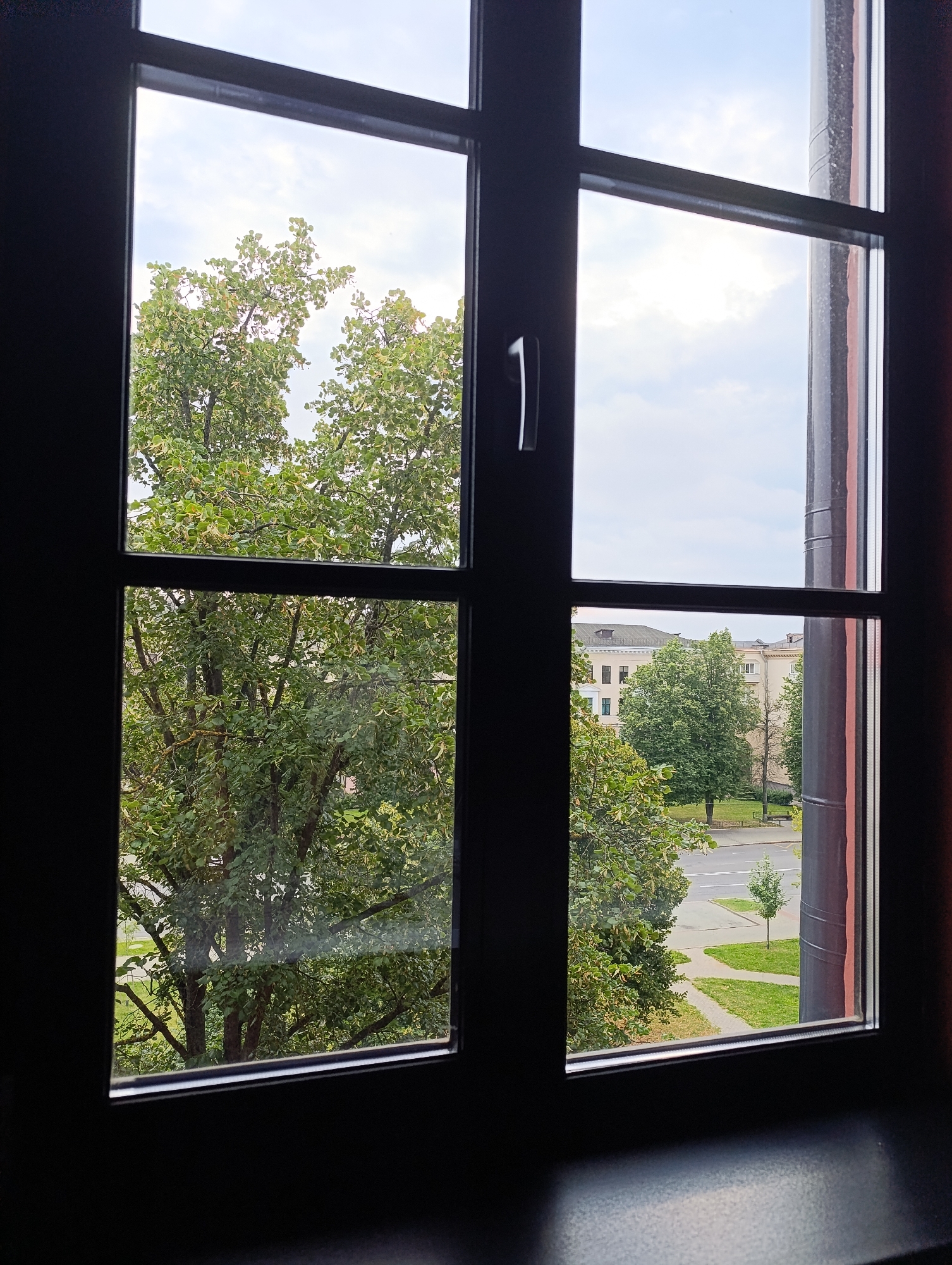 The image is a view through a dark-framed window onto a residential street in Minsk, Belarus. The window is divided into four panes by horizontal and vertical mullions. Through the top left pane, the branches and leaves of a large green tree are visible against a cloudy sky. The top right pane shows more of the cloudy sky and a section of a grey metal pipe or chimney attached to the building. The bottom left pane reveals the dense foliage of the same large tree, showing its trunk and branches. The bottom right pane looks out onto a street with buildings in the background, including a multi-story building with a light-colored facade. Trees line the street and a paved walkway with grass on either side is visible. A few parked cars are visible on the street. The overall scene depicts a quiet urban environment with ample greenery.