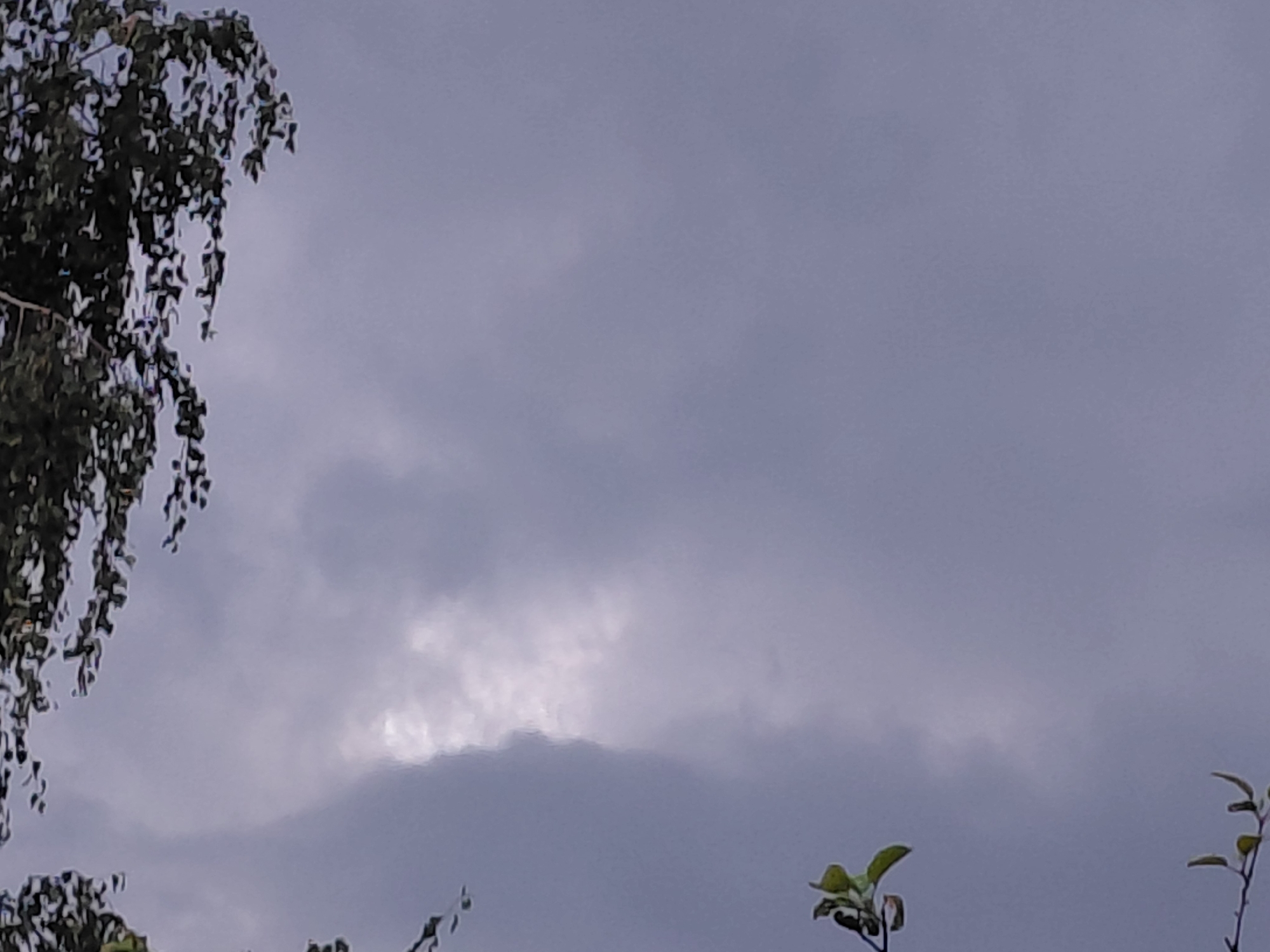 The image captures a cloudy sky with some branches of trees in the foreground. The clouds appear to be a mix of light and dark grays, suggesting an overcast or impending weather event. The trees, visible on the left and bottom right, have green leaves, indicating it is likely spring or summer. No people or specific landmarks that would indicate the city of Samara, Russia, are visible in this image. The focus is primarily on the sky and the natural elements.
