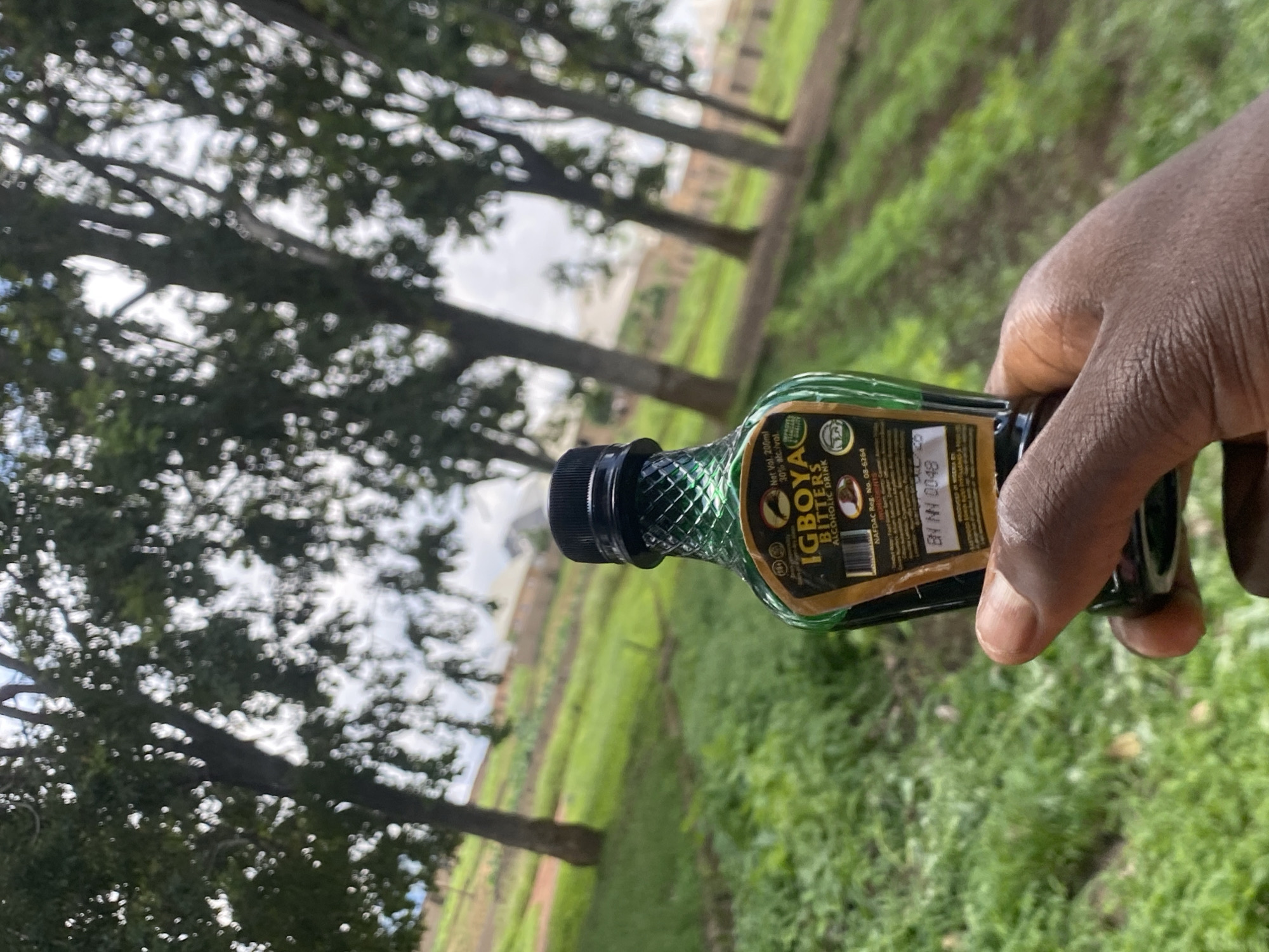 A person's hand is holding a small, green, patterned glass bottle of "IGBOYA BITTERS ALCOHOLIC DRINK" in an outdoor setting. The bottle has a black cap and a label with text including "Net Vol. 200ml 30% alc./vol." and "NAFDAC Reg. No. 08-6264". The background features lush green grass, trees with dappled sunlight, and a gentle slope with some buildings visible in the distance. The overall impression is of a natural, possibly rural or suburban, environment. The location is identified as Bukuru, Nigeria.