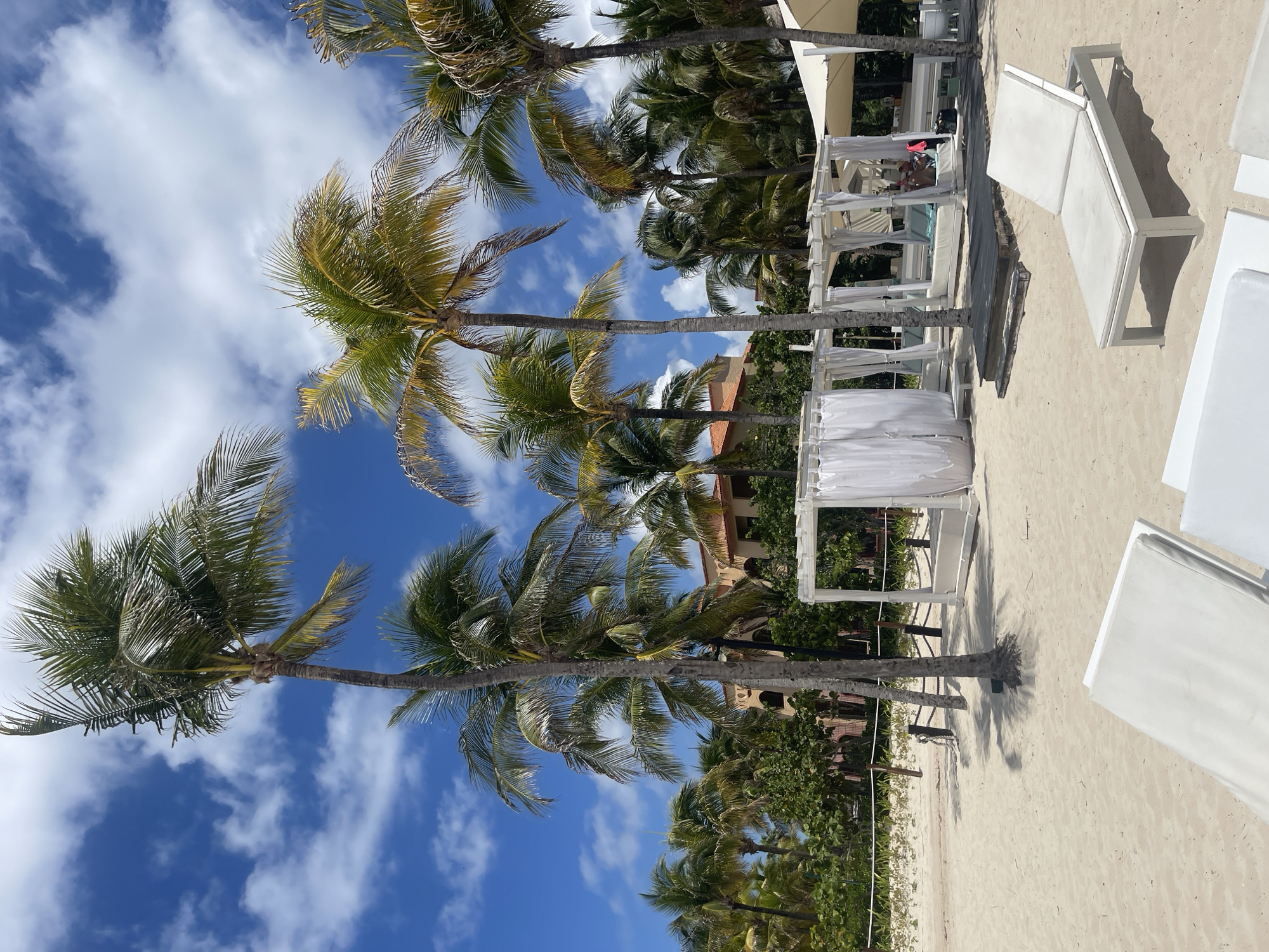 The image captures a beach scene in Playa del Carmen, Mexico. The foreground shows a sandy beach with white lounge chairs, some under shaded cabanas, with the beach stretching horizontally. Palm trees line the edge of the beach, reaching into a clear blue sky dotted with fluffy white clouds. The sun is shining. In the background, buildings are partially visible behind the dense foliage, suggesting a resort or residential area adjacent to the beach. Two people are sitting in the lounge.