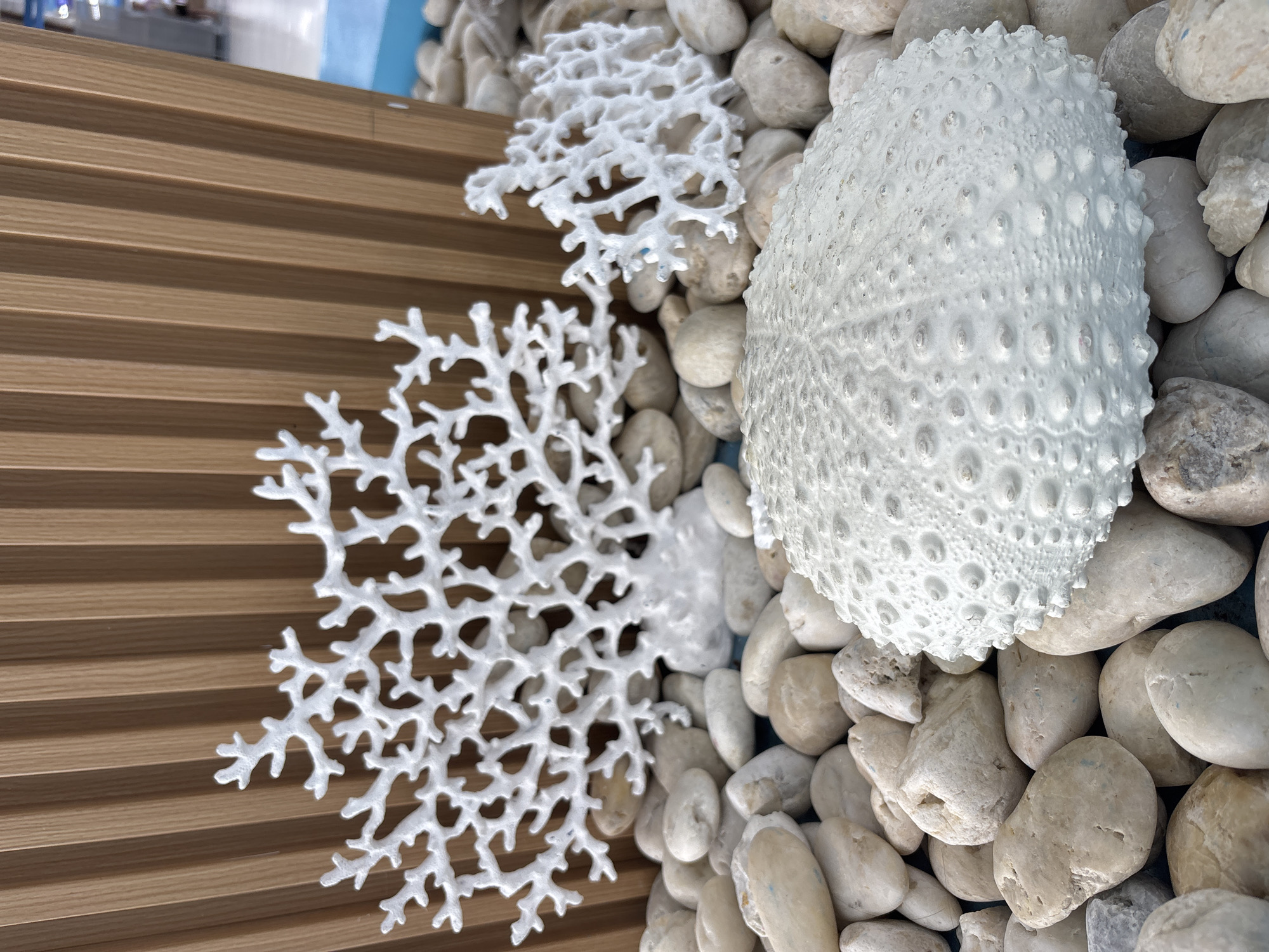 The image depicts a still life arrangement of decorative objects, likely for interior design or display. The foreground is dominated by smooth, oval-shaped white and beige pebbles. Resting on the pebbles, in the center-right of the frame, is a large, spherical object resembling a white sea urchin shell, characterized by its textured surface with numerous small bumps. Behind the sea urchin, to the left and right, are two delicate, white coral-like decorative pieces. The larger piece is on the left, branching upwards, while the smaller piece is on the right. The background consists of vertical, slatted wooden panels with a light brown hue. The lighting appears to be ambient, creating soft shadows. No people or actions are visible in the scene, and the overall impression is one of a tranquil, coastal-themed decor. The location of this scene is in Ban Bang Rak, Thailand, an area known for its proximity to the coast and often incorporating marine-themed elements in its aesthetic.
