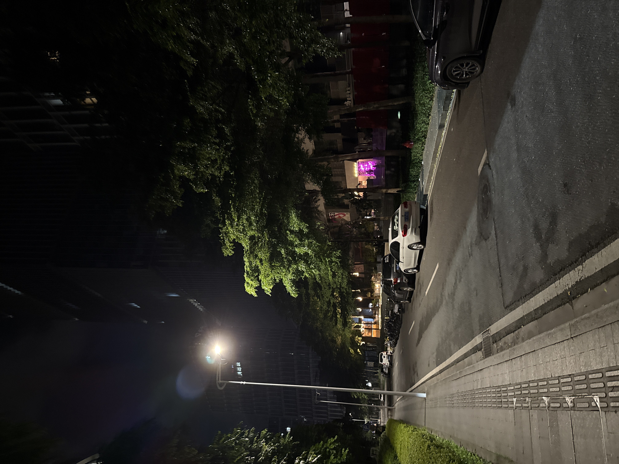 The image depicts a street scene at night in Haizhu District, China. Tall, modern buildings with illuminated windows rise in the background, partially obscured by the dense foliage of mature trees lining the street. A street lamp casts a warm glow, illuminating a sidewalk with a tactile paving system, commonly found in urban areas to assist visually impaired pedestrians. Cars are parked along the roadside, and a row of motorcycles is visible further down the street. The road surface appears wet in patches, suggesting recent rain. In the middle ground, a building facade features brightly lit signage and windows, one of which glows with a vibrant purple light, possibly indicating a commercial establishment. The overall atmosphere is urban and nocturnal.