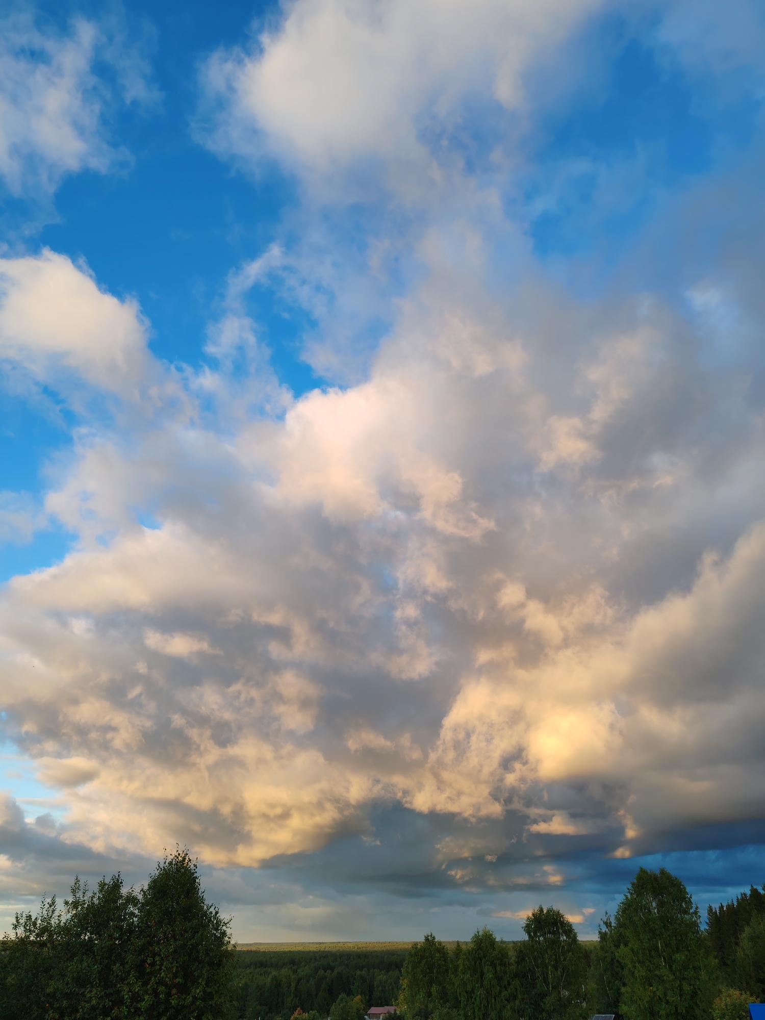 The image depicts a rural landscape under a dramatic sky. The upper portion of the image is dominated by a vast expanse of clouds, ranging from bright white to dark gray, with pockets of soft yellow and orange light suggesting the presence of the sun, likely low on the horizon. The sky transitions to a clear, bright blue in the upper left quadrant. Below the clouds, a dense forest stretches across the horizon, with varying shades of green indicating a mix of deciduous and coniferous trees. In the foreground, the tops of several green trees are visible, with one larger tree on the left and several smaller ones scattered to the right. A hint of a building or roofline is present at the very bottom edge of the image on the far left. The overall impression is one of a natural landscape at dusk or dawn. The image location is identified as Chukhlem, Russia. There are no people or animals visible in the image, and no actions or interactions are depicted.