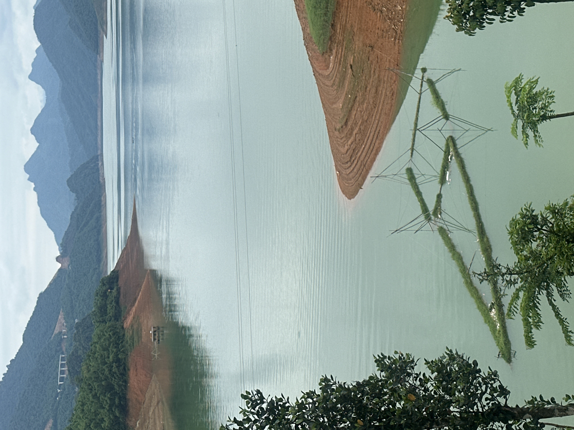 This is a landscape photograph taken from an elevated vantage point overlooking a vast body of water in Bản Phúc, Vietnam. The water is a muted green color and appears to be a lake or reservoir, with gentle ripples on its surface. In the foreground, on the left side, is the lush green foliage of a tree.
The water extends into the distance, meeting a series of layered mountains under a cloudy sky. The mountains are a deep blue-grey, with the closest ones appearing more defined and the ones further away fading into the haze. On the left bank of the water, red-brown soil slopes down to the water's edge, with some terracing visible. A small, dark, rectangular structure, possibly a houseboat or a small building, is situated on the water near the left bank, with a small antenna or pole visible on its roof. Further back on the left, a section of a bridge or elevated structure is visible on the mountainside, and a dense green forest covers the slopes.
In the middle ground of the water, there are several rectangular structures covered in green vegetation, floating on the surface. These appear to be some form of aquatic farm or cultivation rafts, supported by a triangular framework of poles and netting. The reflections of these structures are visible in the water.
The overall impression is one of a serene, natural landscape, likely a rural or mountainous area, with evidence of human activity integrated into the environment. The lighting suggests an overcast or cloudy day.