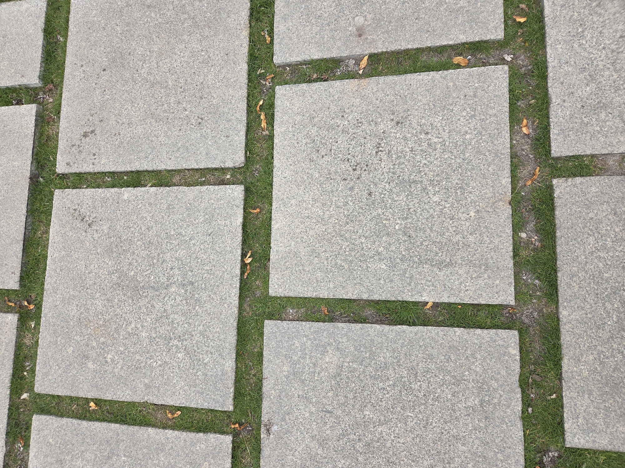 The image shows a section of pavement constructed from square, gray stone tiles with grass growing in the spaces between the tiles. A few scattered, withered leaves are visible on the grass and stone surfaces. The scene appears to be outdoors. Warsaw, Poland cannot be confirmed from the provided image.