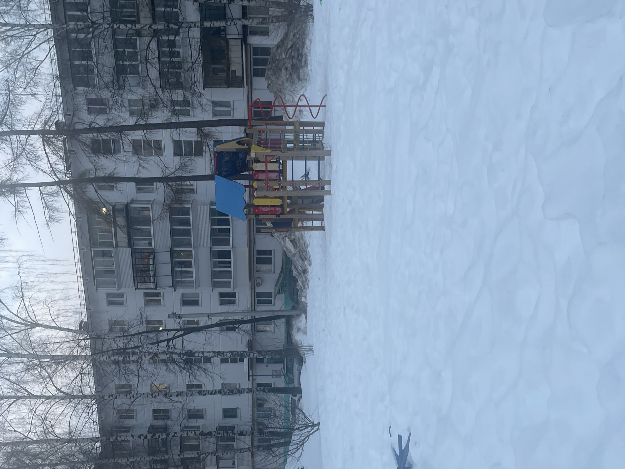 The scene depicts a snow-covered residential area in Chaikovsky, Russia, under an overcast sky. In the foreground, a uniform layer of undisturbed snow covers the ground, displaying subtle undulating patterns. A partially obscured dark object, possibly blue plastic, is visible in the lower-left corner. Centrally positioned in the midground is a brightly colored children's playground structure. This structure features wooden posts, a blue gabled roof, yellow and red vertical panels, and a red spiral slide or ladder on its right side. No individuals are present on or near the playground.
The background is dominated by a multi-story, light-colored apartment building with numerous windows, some of which show illuminated interiors. Several enclosed balconies, some appearing aged, are visible across the building's facade. Bare, slender deciduous trees, likely birches due to their light bark, are interspersed between the playground and the building, partially obscuring parts of the structure. To the right of the playground, substantial mounds of soiled snow are accumulated, suggesting recent snow removal. Near the building's base, partially visible through the trees and snowdrifts, are at least two parked vehicles: a light-colored SUV and a darker sedan. A covered building entrance is discernible near the center of the background structure.