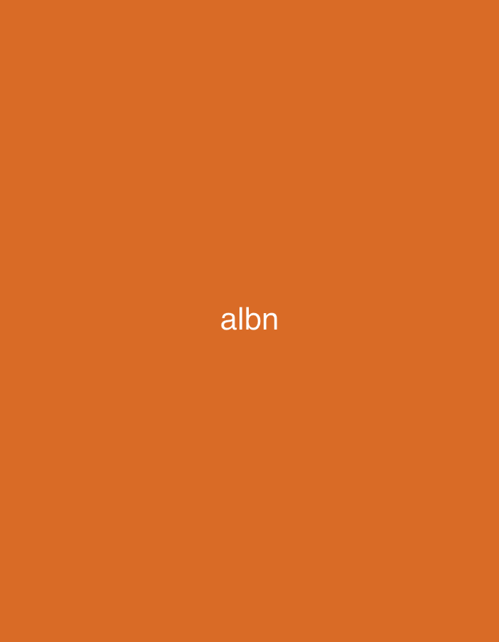 The image displays a solid, uniform orange background. Centrally positioned on this background, the lowercase Latin characters "albn" are rendered in white. No additional subjects, objects, individuals, actions, or environmental details are present within the visual frame. The visual content of the image provides no discernible geographical features, landmarks, or specific indicators to determine a location within the city of Casablanca, Morocco.