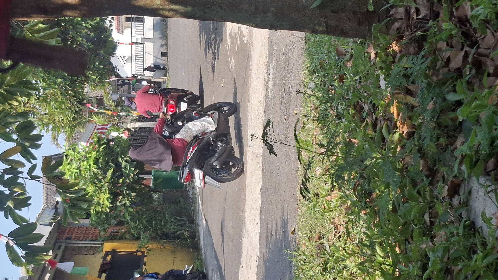 The image depicts a residential street in Cilaku, Indonesia, decorated with red and white Indonesian flags, indicating a national celebration. In the foreground, lush green grass and fallen leaves cover the ground along the side of a paved road. The road itself has white markings.
Two individuals are riding motorcycles. The primary subject is a person wearing a dark hijab and a maroon top, riding a black and silver scooter. They are positioned in the left lane, moving away from the viewer. Their lower body is covered by patterned trousers. Behind them, another person on a red motorcycle, wearing a maroon shirt and a blue cap, is also traveling in the same direction.
The background reveals houses with tiled roofs and white fences, typical of Indonesian housing. Trees with green foliage are scattered throughout the scene, some bearing red and white pennants. The atmosphere appears to be during daylight with clear sky conditions, casting shadows on the road. A green trash bin is visible near a house on the left.