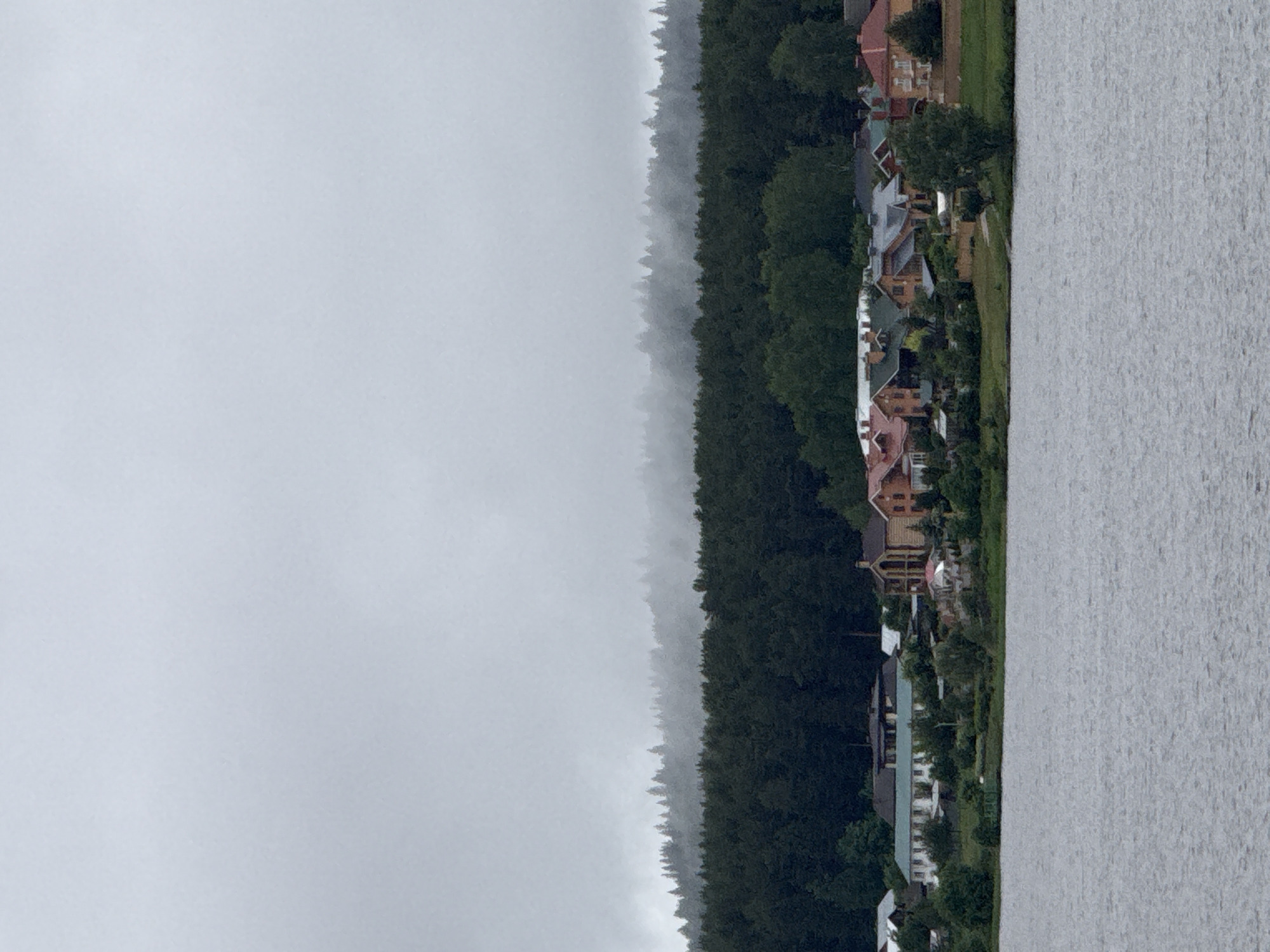 The image depicts a waterfront scene, possibly in Votkinsk, Russia, based on the prevalence of similar landscapes in the area. A body of water, likely a lake or river, occupies the right side of the image. The water appears calm, with a uniform texture. On the opposite shore, a dense forest extends along the bank. The foliage suggests a mix of coniferous and deciduous trees. Interspersed among the trees are residential buildings, varying in size and architectural style. Some houses have red roofs, others gray, with a mix of light and dark facades. A row of greenery, likely a grassy bank or yard, separates the houses from the water's edge. The sky is overcast, with a uniform grayness that suggests either fog or heavy cloud cover. The overall atmosphere is tranquil and somewhat muted due to the weather conditions. The image suggests a developed shoreline with a mix of natural and man-made elements.