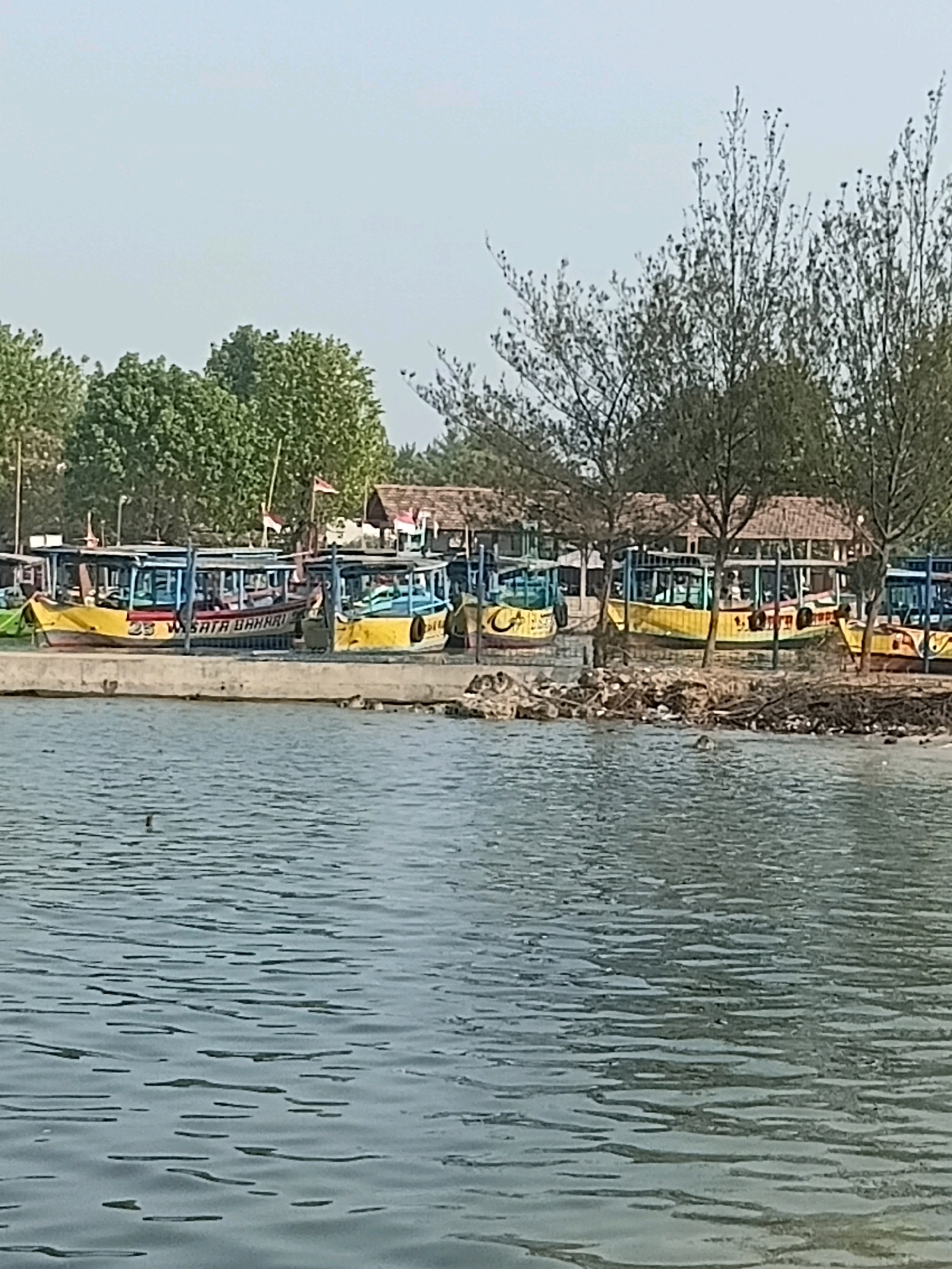 The image depicts a waterfront scene in Cikal, Indonesia, likely a coastal or riverine area. A concrete embankment runs along the foreground, separating the water from the shore. Moored to the embankment are several small, brightly colored boats, predominantly yellow, with blue canopies. Some of these boats appear to be tourist vessels, with "WISATA BAHARI" (Marine Tourism) visible on the side of one. The boats are lined up closely, with some people visible inside them, suggesting they are either waiting for passengers or have recently disembarked.
Behind the boats, a line of trees forms a backdrop, with some structures visible among them, possibly shops or rest areas with tiled roofs. The sky is clear and light, indicating a daytime scene. The water itself is calm, with gentle ripples reflecting the light. The overall impression is that of a small, active tourist or fishing port.