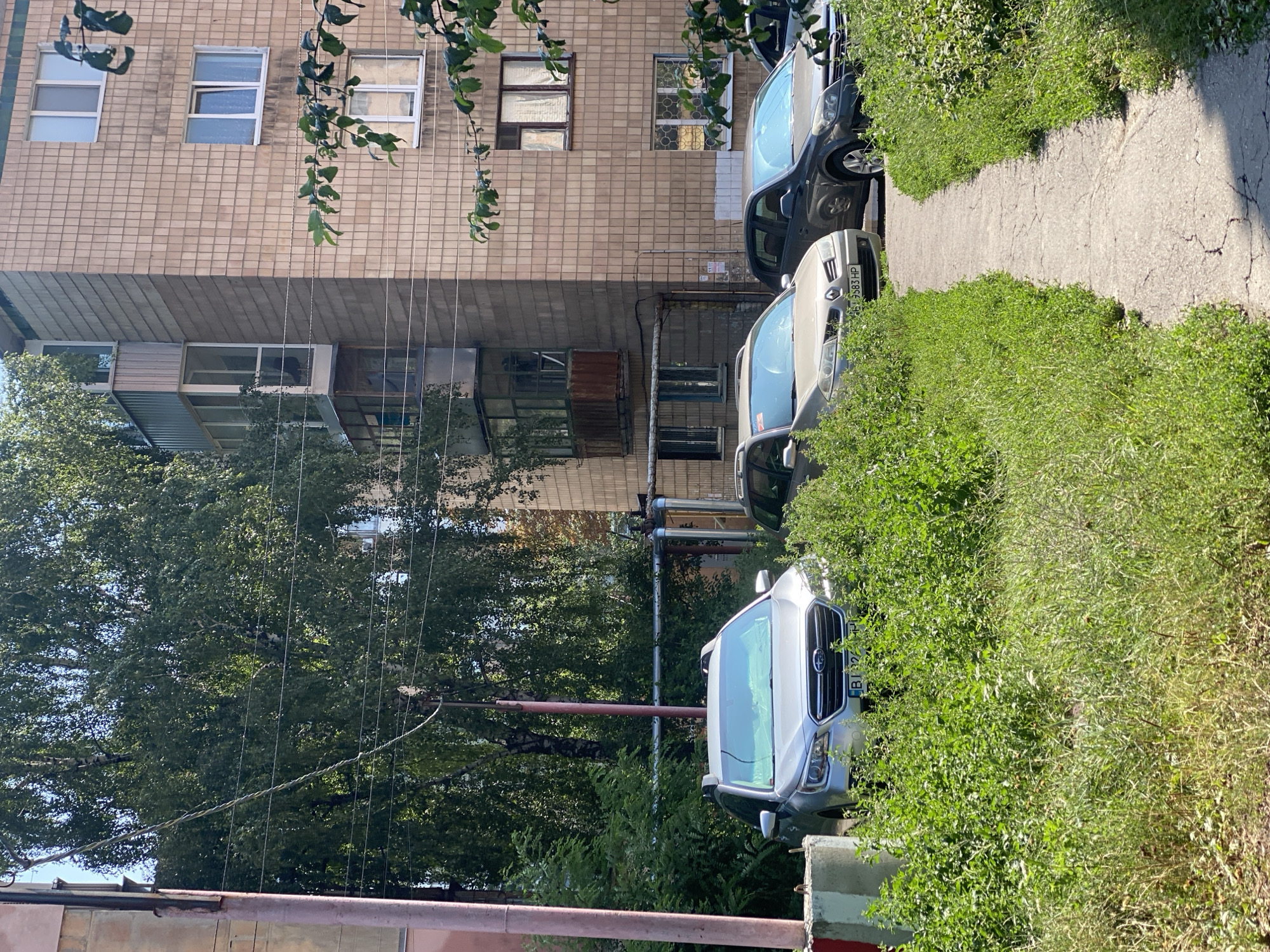 A low-angle, full shot captures a sunny daytime scene in Poltava, Ukraine, featuring a cracked concrete path leading towards parked cars in front of a tan-tiled apartment building. The path is flanked by dense green grass and bushes.
On the left, a silver Subaru Outback SUV is parked, partially obscured by vegetation. Its license plate is visible as "BI 326 HH". To its right, a light beige Renault Megane is parked, also partially hidden by greenery, with its license plate reading "BI 5583 HP". Further to the right, a dark grey Opel Astra is parked. The apartment building behind the cars has multiple windows, some with curtains, and a weathered balcony with rusted metal railings. Trees with lush green foliage are visible to the left of the building, and further vegetation is present on the right. Power lines crisscross the scene, and a light pole is visible on the left.