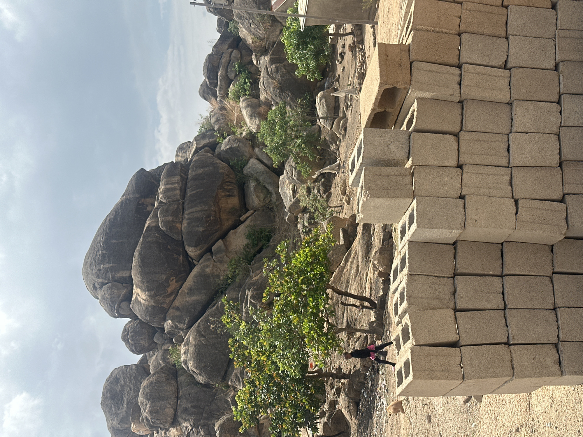 This image, captured in Jos, Nigeria, presents a landscape dominated by a large formation of dark, rounded boulders and rocks, suggesting a hilly or mountainous terrain. Green trees with lush foliage are interspersed among the rocks, along with patches of drier vegetation.
In the foreground and to the right, a substantial stack of light-colored concrete hollow blocks, commonly known as cinder blocks, is neatly arranged, indicating ongoing or planned construction in the area. Parts of a building and what appears to be a utility pole are visible in the upper right background, further pointing to human settlement.
A single person is visible in the lower-middle left, standing or walking near one of the trees. They are dressed in dark clothing, accented by a bright pink item, possibly a scarf or part of their garment. A small, light-colored animal, likely a dog, is partially seen on the ground near the base of the stacked blocks in the lower right.
The scene is illuminated by daylight under a partly cloudy, light blue sky. The visual cues suggest a semi-arid environment where natural geological features coexist with human activity and development. There is no discernible specific event taking place, but rather a depiction of everyday life in this unique setting. No visible text is present in the image.