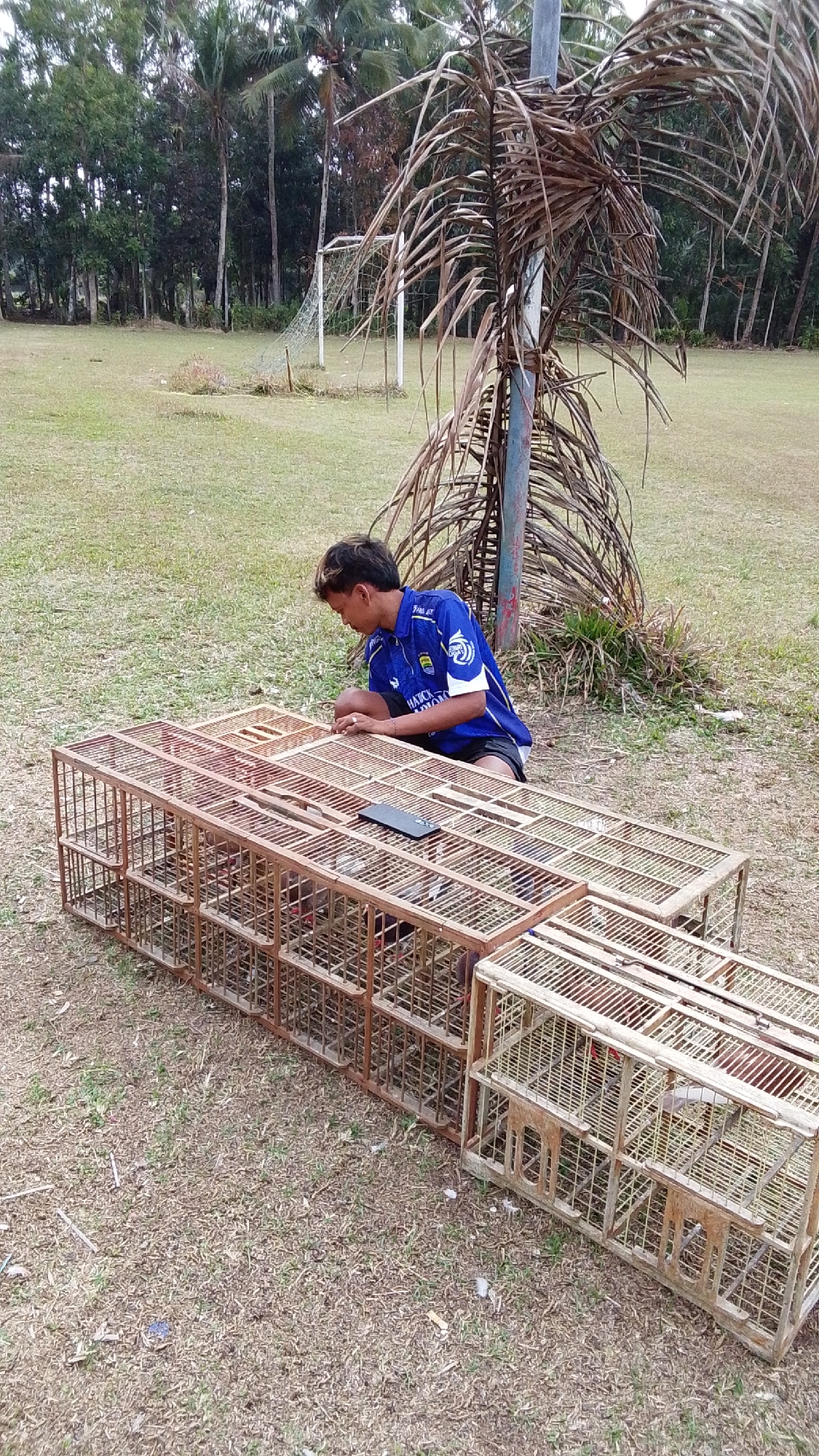 A young man wearing a blue soccer jersey and black shorts is sitting on the ground next to a series of wooden bird cages. He is looking down at the cages, and his hands are resting on the top of one of them. The cages are stacked in two rows, and appear to be empty or contain birds that are not visible. The man is on a grassy field with a few trees in the background, and a soccer goal can be seen in the distance. The overall scene suggests an outdoor setting, possibly a park or a sports field, in Cintaratu, Indonesia. The lighting is natural, indicating it is daytime.