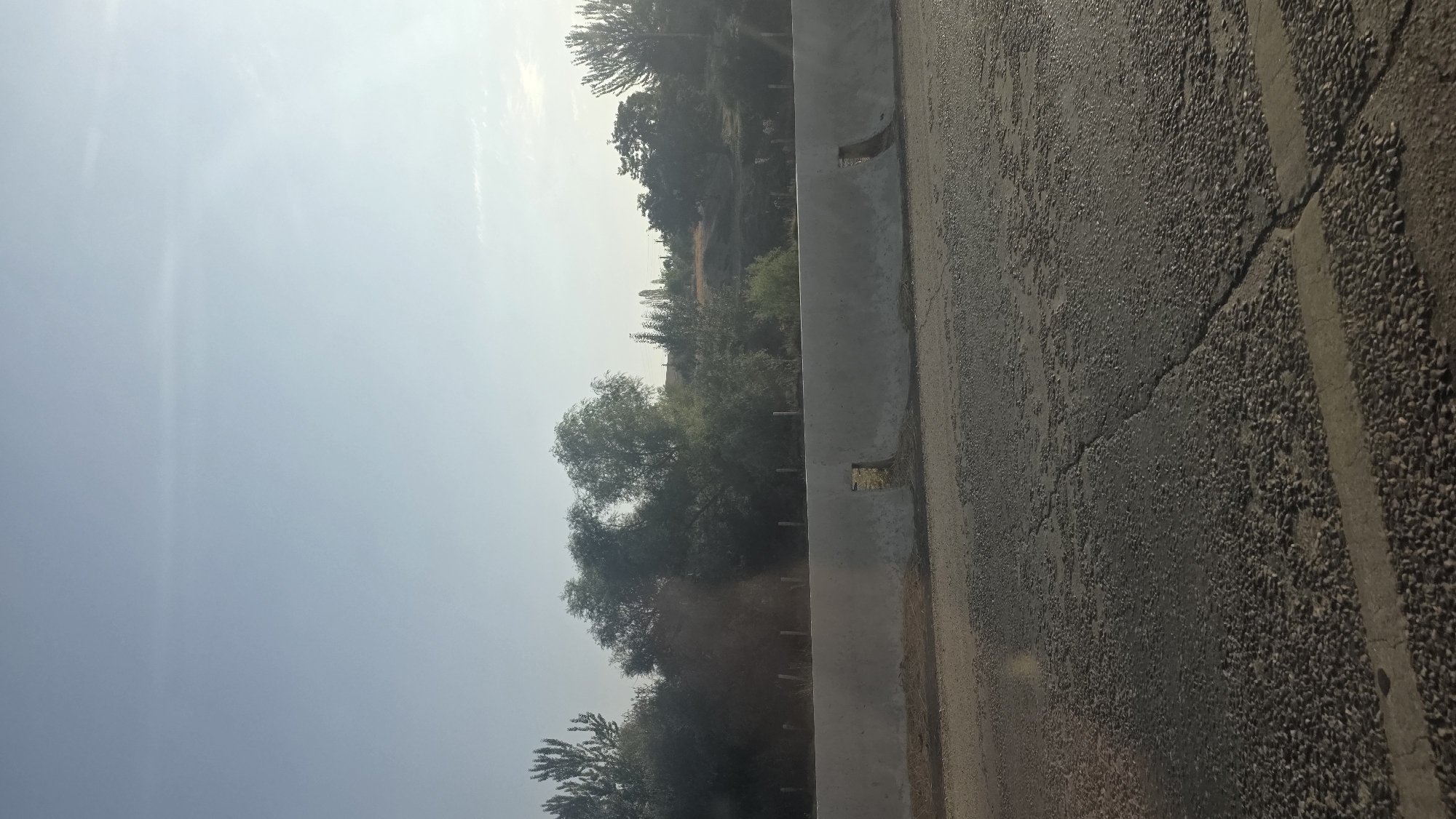 The image depicts a roadside scene in Baş-Bulak, Kyrgyzstan. In the foreground, a cracked asphalt road with a faint white line is visible. A concrete barrier runs horizontally across the middle of the frame, with two rectangular openings. Behind the barrier, a line of trees and bushes forms a natural boundary, with some taller trees on the left and right. The sky above is clear and bright, with a hint of sunlight. The overall impression is one of a rural or semi-rural environment.