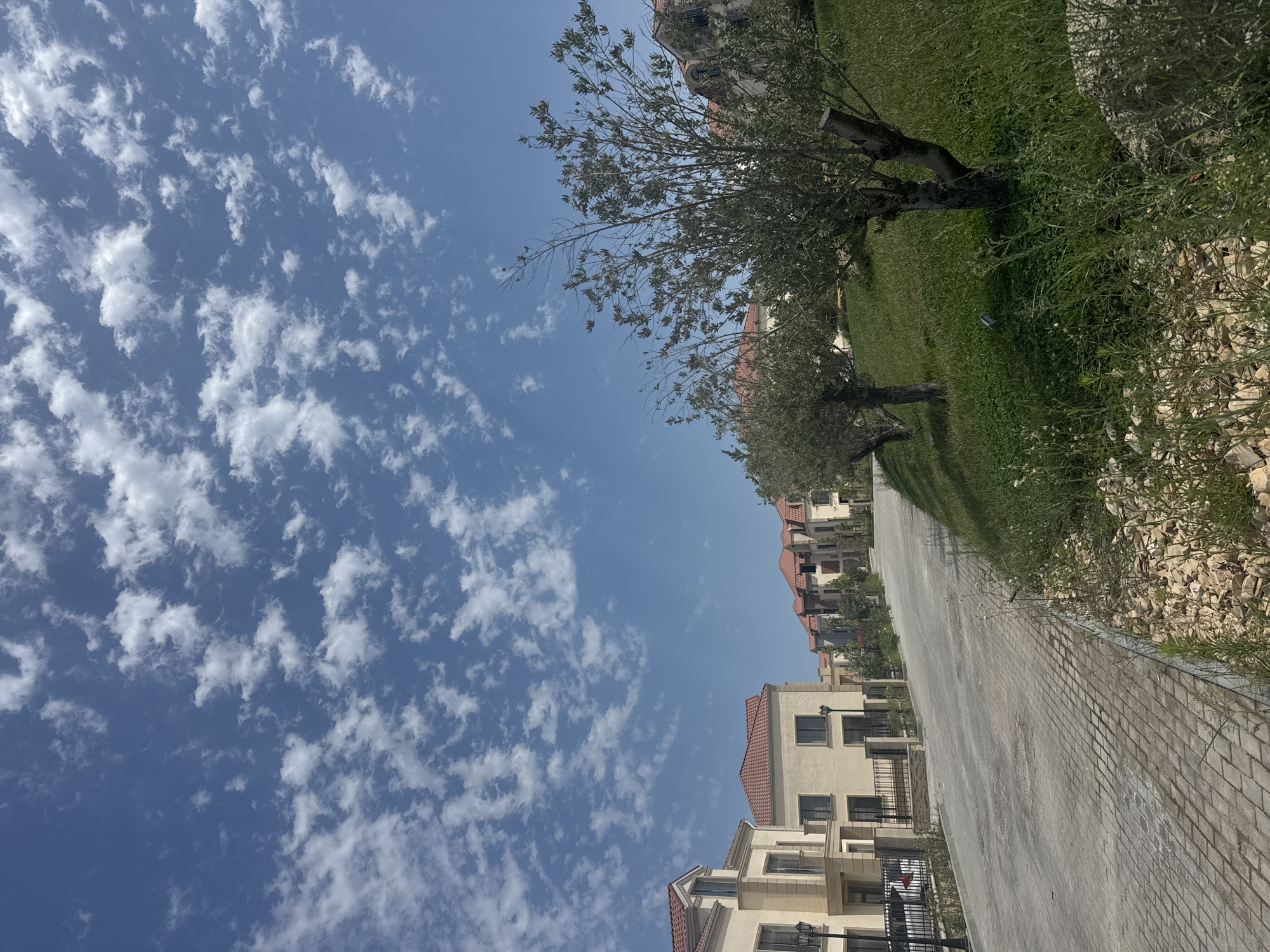 The image depicts a residential street in the city of Sabunchu Raion, Azerbaijan, on a bright, sunny day with a blue sky dotted with scattered white clouds. The street is paved with light-colored interlocking bricks and slopes gently uphill. On the left side of the street, a row of multi-story houses with beige facades and red tile roofs are visible, separated by black metal fences. A black lamppost stands in front of one of the houses, and a white car is parked behind a fence. To the right of the street, a grassy embankment is lined with small, dry rocks and sparse vegetation. Several mature trees with gnarled trunks and leafy branches are planted on the grassy slope, with more houses visible in the background, also featuring red tile roofs. The scene suggests a well-maintained suburban or semi-rural residential area.
