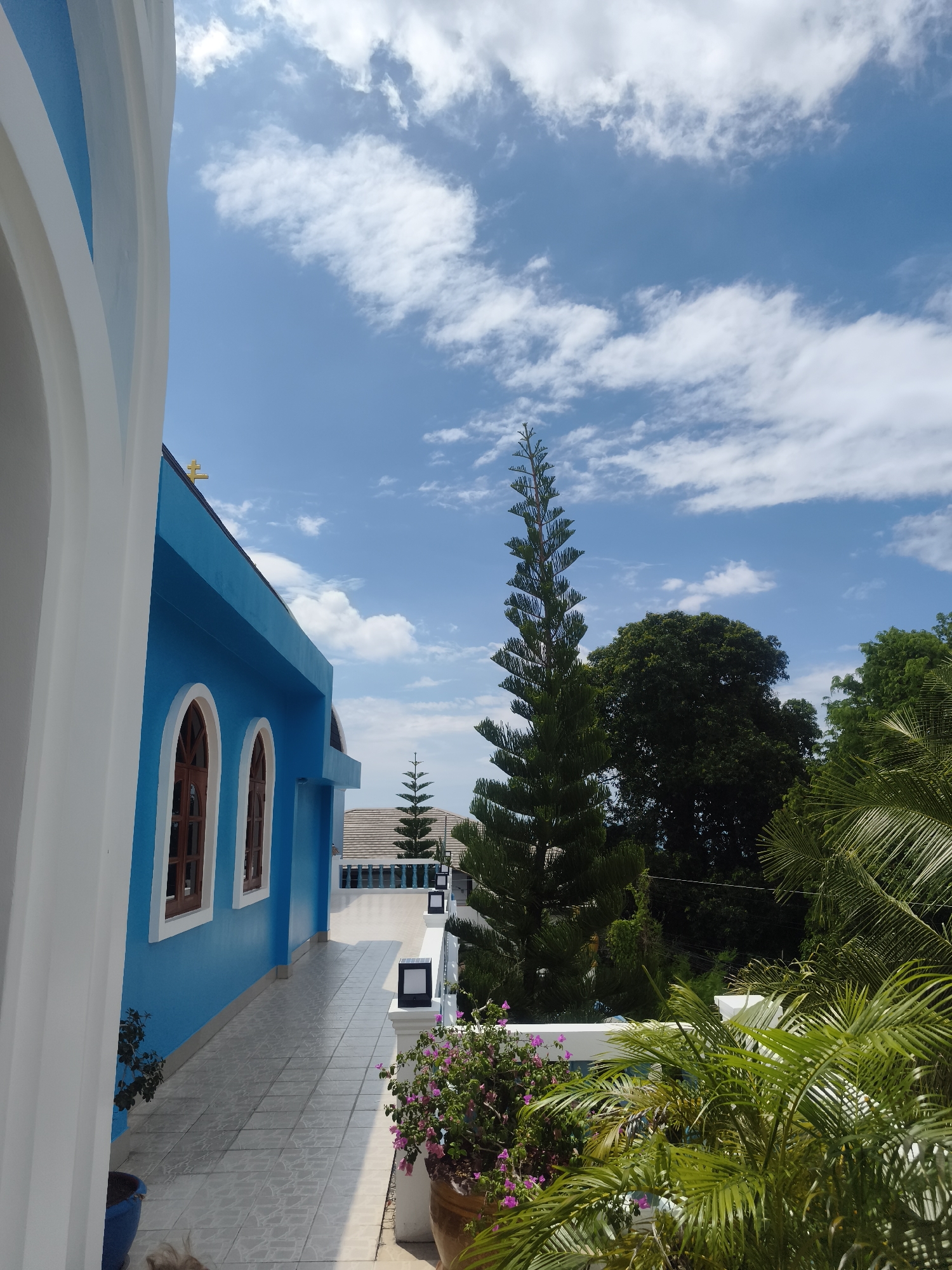 The image depicts an outdoor architectural and natural scene in Ko Samui, Thailand, under a clear blue sky with scattered white cumulus clouds. On the left, a prominent structure with a vibrant turquoise-blue facade features multiple arched windows with dark brown frames, possibly wood. A golden Orthodox-style cross is visible on the roofline of this blue building. A curved white architectural element, potentially a column or arch, borders the extreme left foreground. A light-colored tiled walkway or patio extends from the foreground along the blue building's base. To the right, lush tropical vegetation dominates the midground and foreground, including a tall, slender, conical evergreen tree, larger dark green broadleaf trees, and expansive, bright green palm fronds. A white balustrade, equipped with square, dark-colored solar lights, runs horizontally across the lower right, defining a terrace edge. A terracotta pot filled with vibrant pink-purple bougainvillea flowers is positioned against this railing. In the distance, between the blue building and the trees, a portion of a building with a tiled roof is visible. The scene is brightly illuminated by natural daylight, and no people are present.