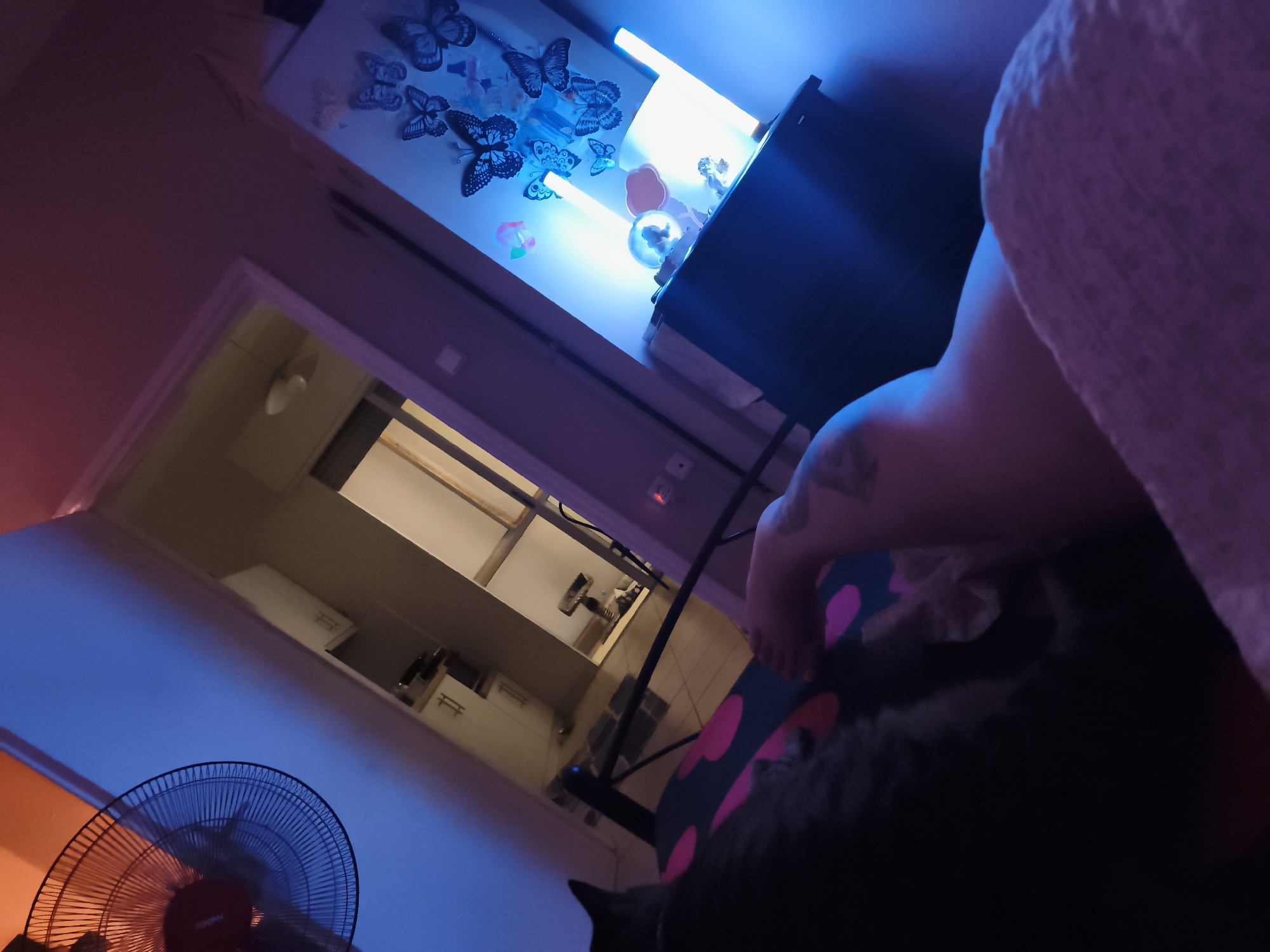 The image depicts a dimly lit room with blue and pink ambient lighting, casting long shadows. In the foreground, the legs and feet of a person are visible, resting on a patterned surface. A dark-colored cat is nestled beside the person. Behind them, a black object, possibly a piece of furniture or electronic equipment, is partially illuminated. The background reveals a doorway leading to another room, where white cabinets and a light fixture are visible. A large, black oscillating fan stands in the lower left corner of the frame. On the wall above the doorway, several black butterfly decals are adhered. The overall scene suggests a casual, relaxed domestic environment. The image location is not specified as Komotini, Greece.