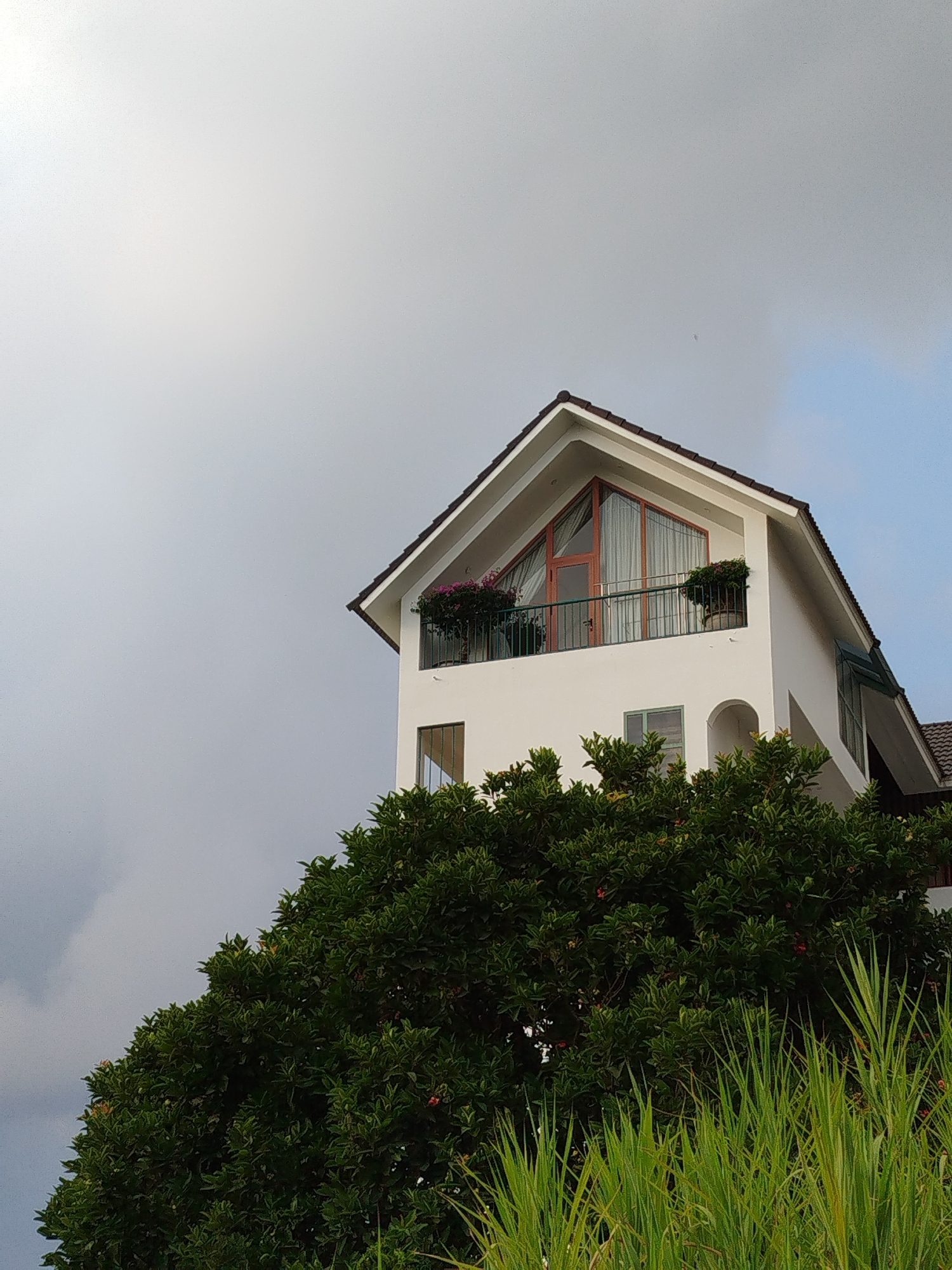 A daytime shot shows a three-story white house with a brown roof and a balcony with plants. The house is partially obscured by a large green tree in the foreground. Tall green grass is visible in the lower right corner. The sky is overcast. The location is Da Lat, Vietnam.