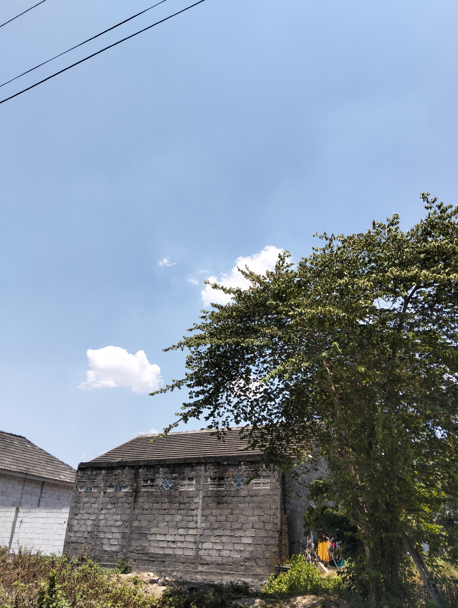 This is a landscape image taken on a clear day, showcasing a section of a building constructed from concrete blocks. The building has a tiled roof and several small openings along its upper wall, some of which appear to be vents or windows. To the left of this building, another structure is partially visible, also with a tiled roof and white brick walls. In the foreground, there is dense vegetation. A large tree with lush green foliage dominates the right side of the frame, its branches extending over the building. Overhead, power lines are visible against a blue sky with a few scattered white clouds. The scene suggests an outdoor setting, possibly in a semi-urban or rural area of Semarang, Indonesia, given the architectural style of the buildings and the presence of vegetation. There are no people or overt actions depicted in the image.