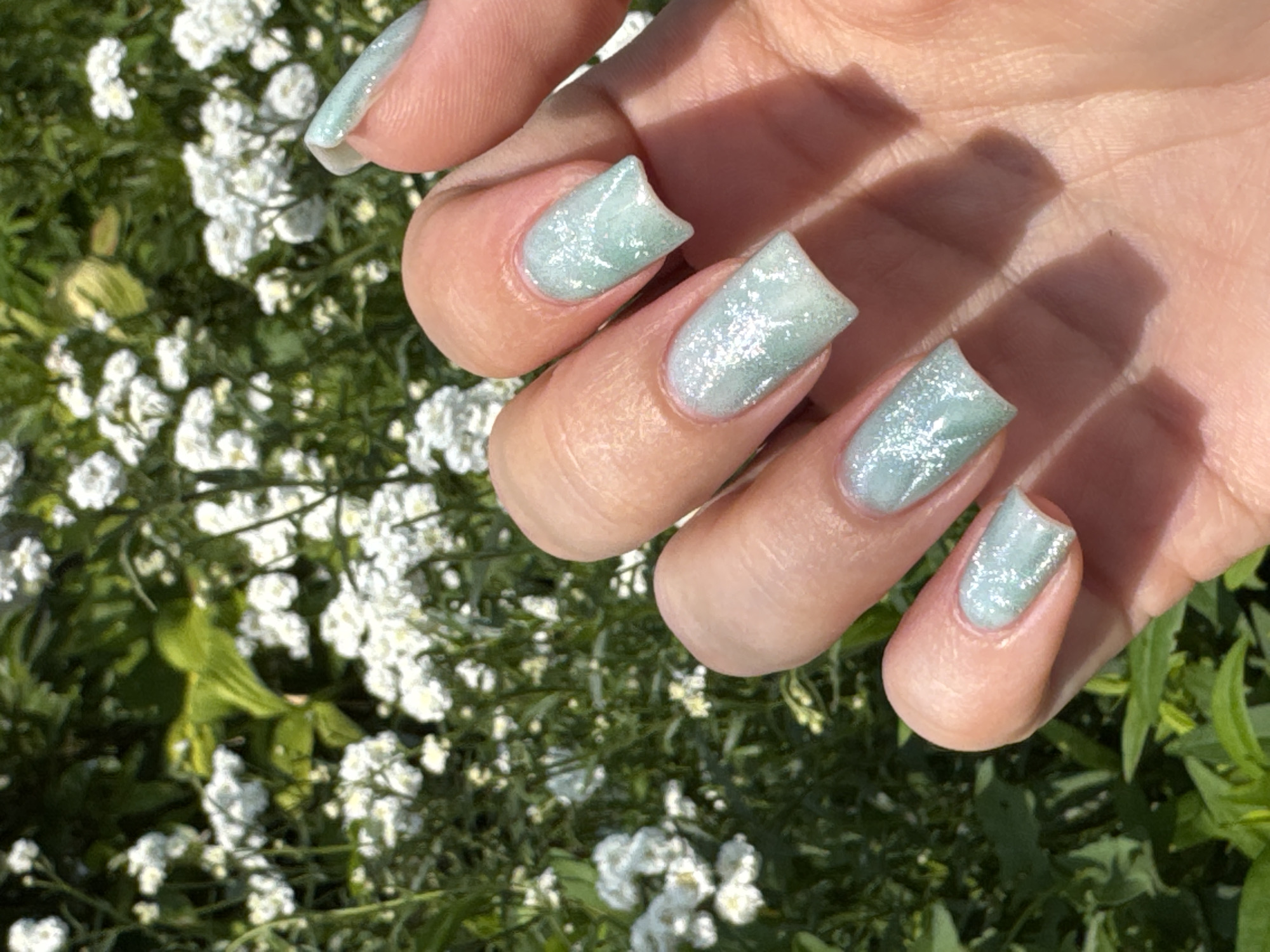 A close-up, eye-level shot focuses on a person's hand with light-colored skin, showcasing five manicured fingernails painted in a pale, shimmering green polish with fine glitter. The hand is positioned in the foreground, with the fingers slightly curved. The background is a blurred, sun-drenched scene of lush green foliage interspersed with numerous small white flowers, suggestive of a garden or natural outdoor setting. The image does not contain any identifiable landmarks or elements that would specifically place it in Prokopyevsk, Russia.
