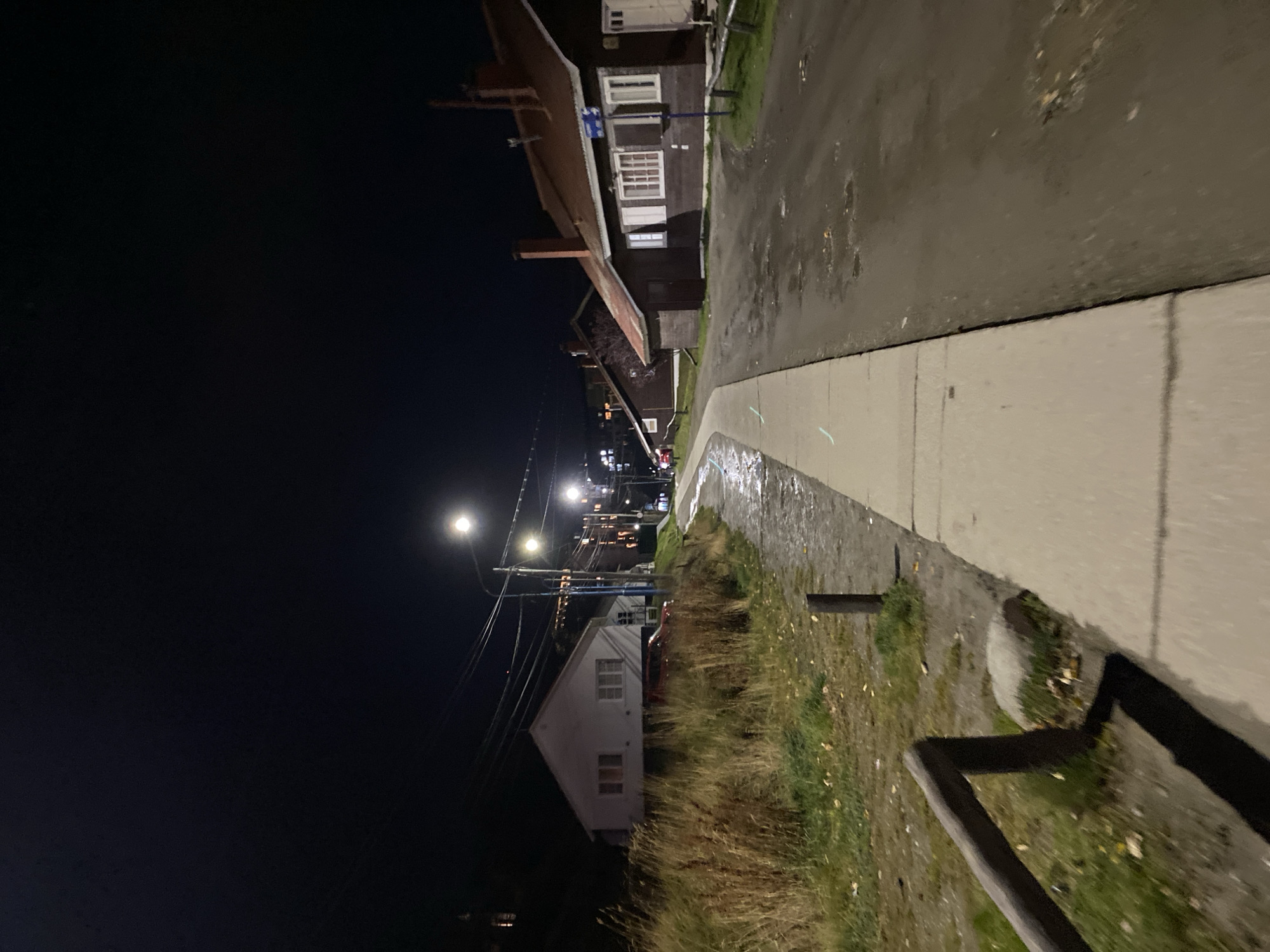 Night view in Ushuaia, Argentina, featuring a sidewalk, street, and buildings under streetlights. The sky is dark, highlighting the illuminated buildings. A white house sits amidst tall grass and greenery. Overhead power lines extend into the dark sky.