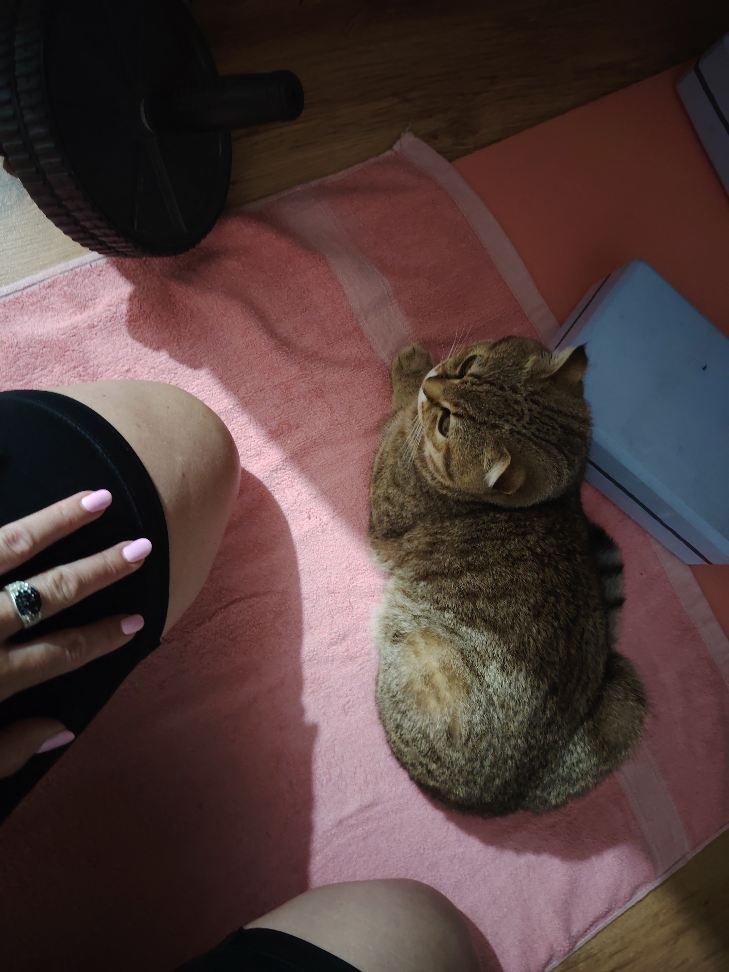 Memory