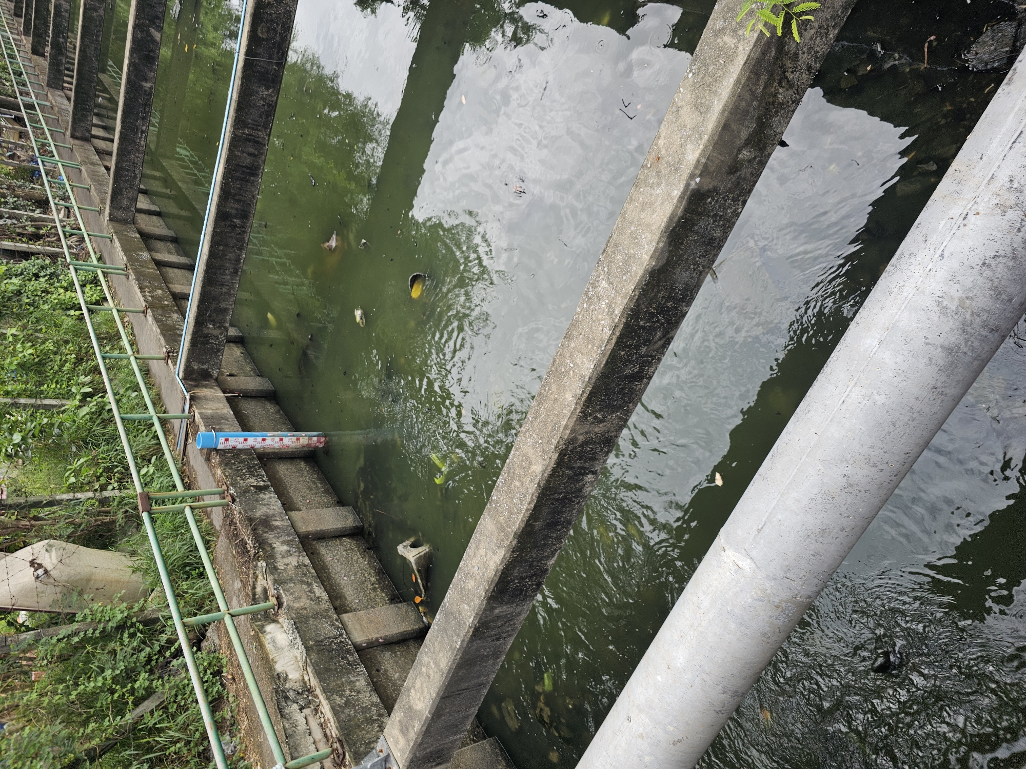 The image shows a series of concrete water channels, likely part of a drainage or irrigation system, in an urban environment in Bangkok, Thailand. A green metal railing runs along the top edge of one of the channels. A blue and white water level gauge is visible in one of the channels, indicating the water depth. The water is murky green and contains some debris and leaves. In the foreground, a large grey pipe runs horizontally across the frame. The surrounding area is overgrown with vegetation, and there is a concrete structure in the background that appears to be a barrier or support. The scene suggests a functional, but somewhat neglected, water management infrastructure.