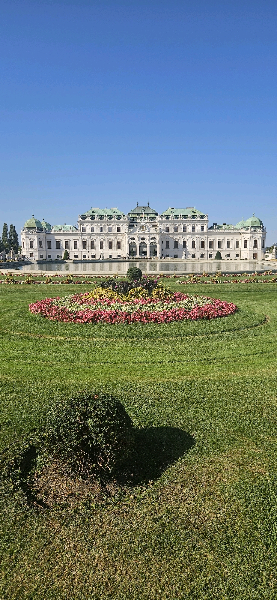 The image depicts a sunny day at Schönbrunn Palace in Vienna, Austria. The grand white palace, with its green tiled roofs and ornate architecture, stands prominently in the background, reflected in a still pond. In the foreground, a meticulously maintained garden features a circular flower bed bursting with pink, red, and yellow blooms, surrounded by lush green lawns. A dark green, rounded bush casts a distinct shadow on the grass in the lower part of the frame. The sky is a clear, vibrant blue, indicating fair weather. No people are clearly visible in the scene, suggesting a peaceful and serene atmosphere.
