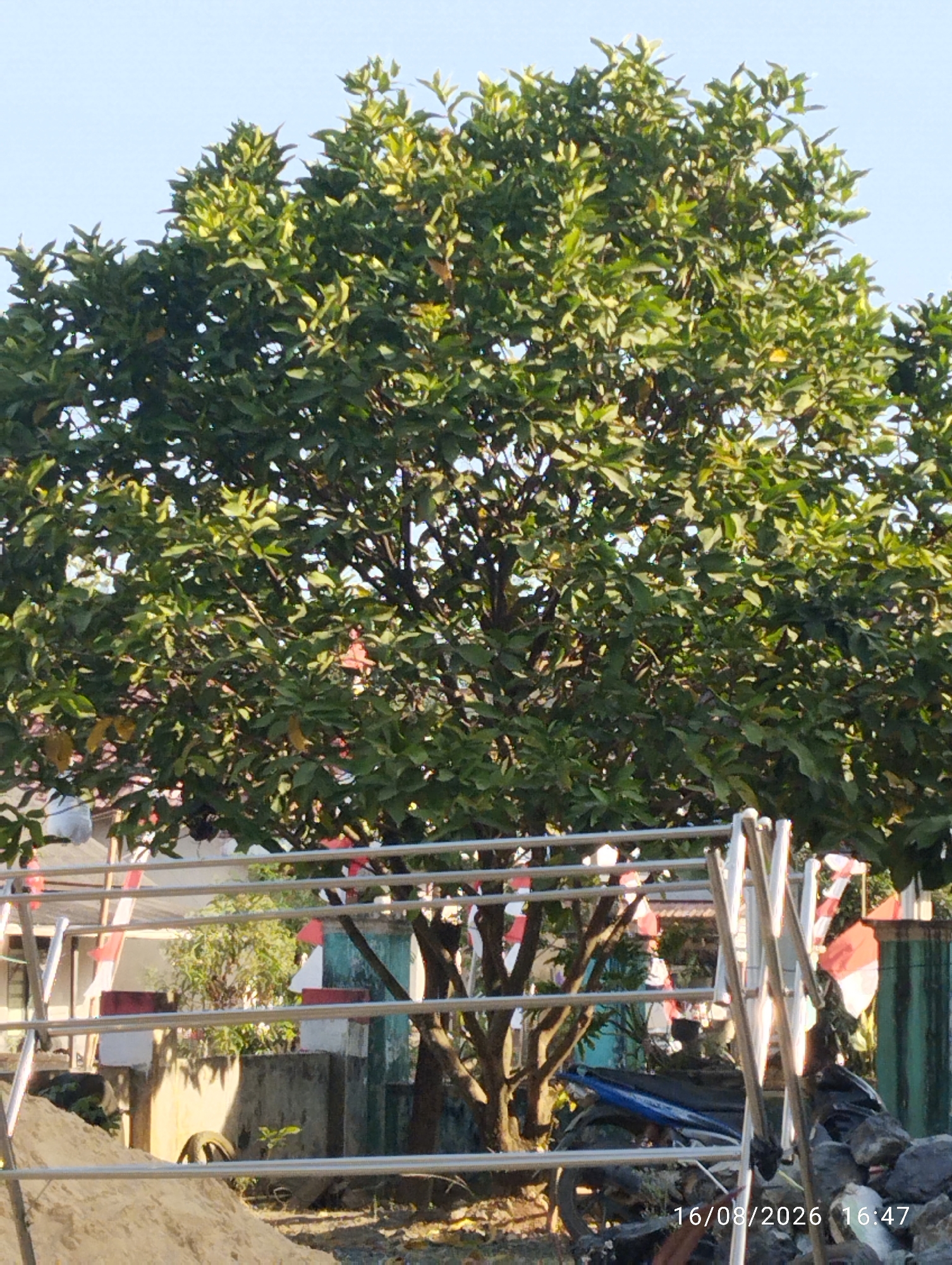 An outdoor, medium shot captures a tree with dense green foliage under a clear blue sky. In the foreground, a silver metal railing runs horizontally across the image. Behind the railing, a sandy pile is visible on the left, with a tire and some debris on the ground. A structure with white and red accents, possibly a building or wall, is partially visible behind the tree. Further back, a blue motorcycle is parked. The bottom right corner displays a timestamp: "16/08/2026 16:47". The scene appears to be in a semi-urban or rural area, possibly undergoing some construction or cleanup.