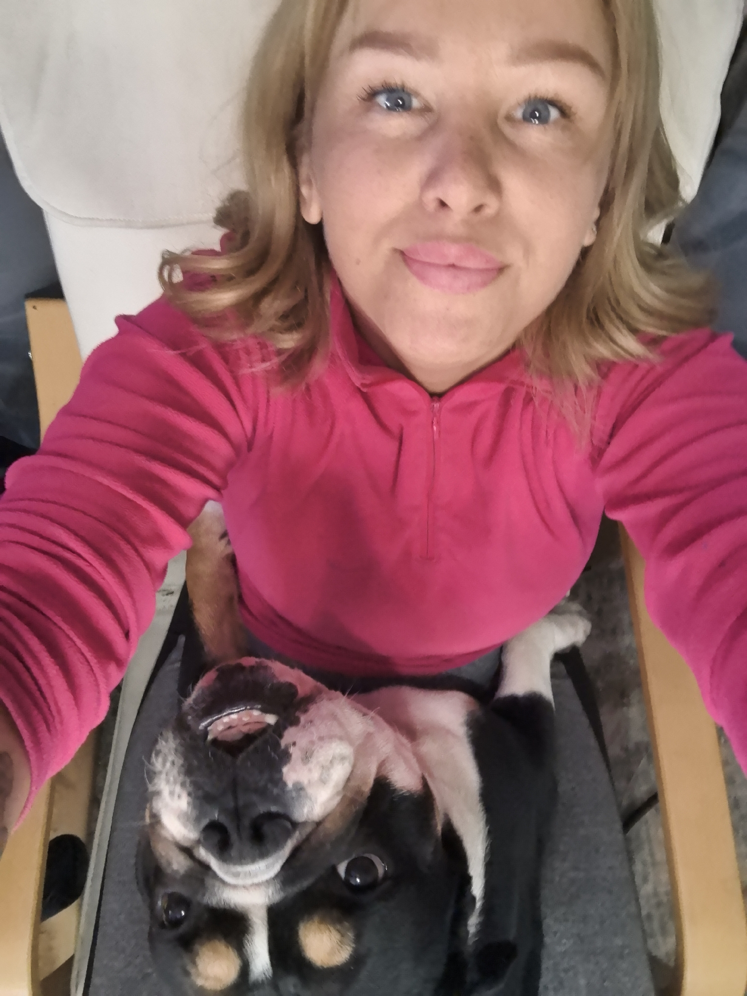 The scene is an indoor setting. The specific city of Noviy, Russia, cannot be determined from the visual information presented in the image.
An adult female with fair skin, light blonde hair, and blue eyes is depicted, looking directly into the camera. She wears a fuchsia-colored, long-sleeved top with a quarter-zip neckline. Positioned on her lap, a tri-color dog, predominantly black and white with tan markings, lies upside down. The dog's mouth is open, revealing teeth, and its eyes are wide. The woman is seated on a light-colored chair, possibly upholstered, with wooden frame elements visible on the left and right. The image is captured from an overhead perspective, indicating a selfie.