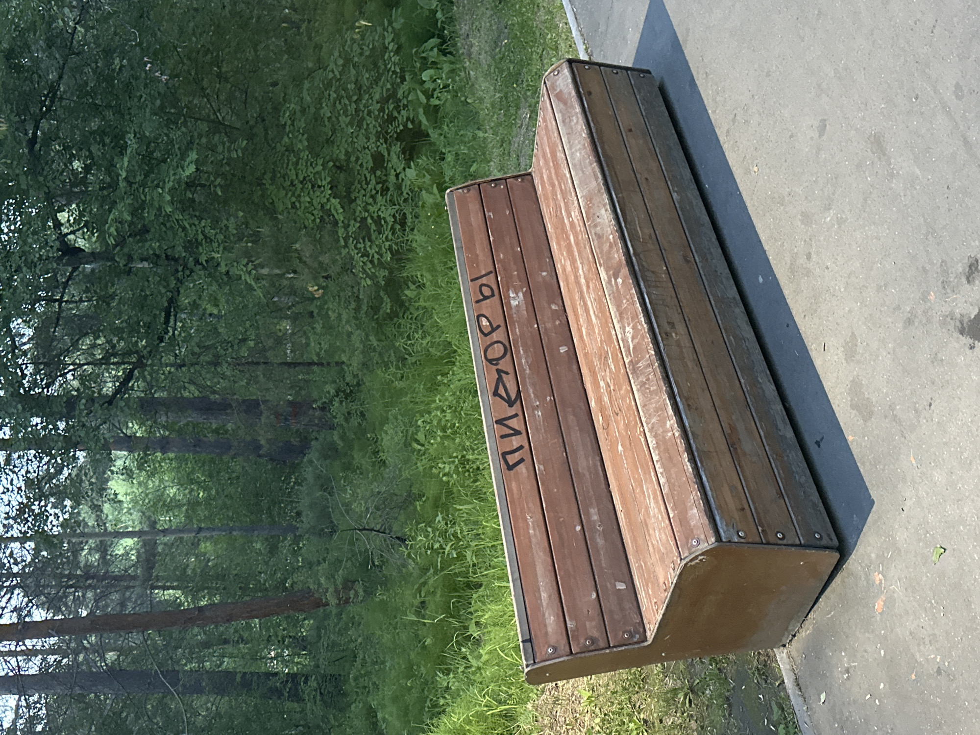 This is a medium-shot, tilted photograph of a wooden bench in a park setting. The bench is made of dark brown wooden slats and has a metal base. Graffiti in black Cyrillic letters is visible on the side of the bench, spelling out "пидоры" (pidory), which is a derogatory Russian term. The bench is situated on a paved walkway next to a grassy area with lush green foliage and trees. In the background, tall trees form a dense forest. The lighting suggests it is daytime, possibly late afternoon due to the long shadow cast by the bench on the walkway. The overall scene appears to be a public park or a natural area within the town of Shelekhov, Russia. There are no people visible in the frame. The image captures a contrast between the natural environment and the presence of urban decay or vandalism in the form of graffiti.