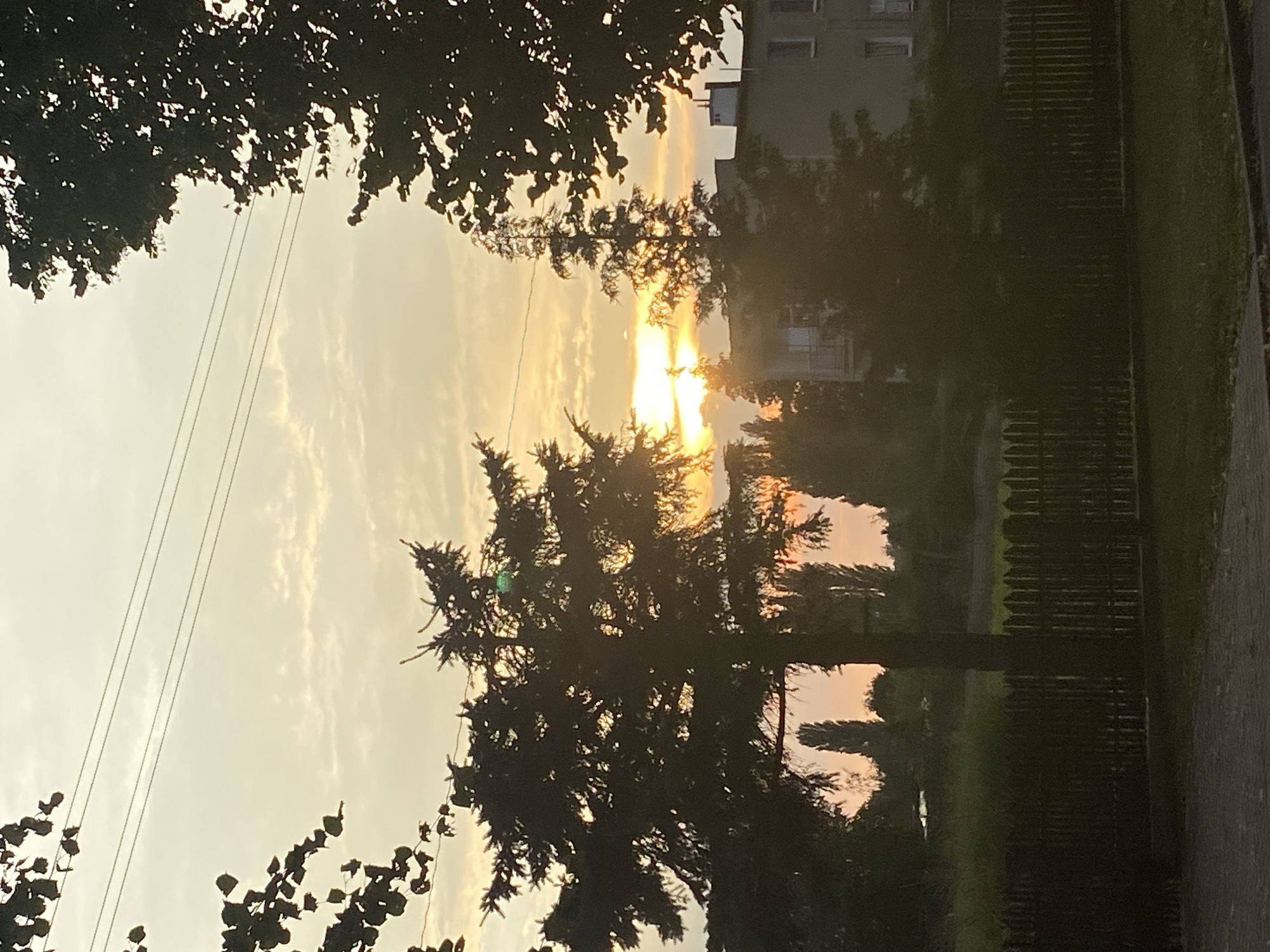 This image depicts a sunset scene in the city of Buk, Poland. In the foreground, a dark wooden fence runs horizontally across the frame. Beyond the fence, a patch of green grass is visible, transitioning to a paved surface in the lower left corner. Silhouetted against the sky are several trees, including a large conifer in the center left and a narrower conifer to its right. In the background, a multi-story building with windows and a balcony is visible, partially obscured by trees. The sky is a soft gradient of yellow and orange, with scattered clouds, indicating the sun is setting. Overhead, power lines are strung across the top of the image, and branches from trees in the foreground frame the scene. The overall atmosphere is serene and tranquil, characteristic of a late evening in a residential area.