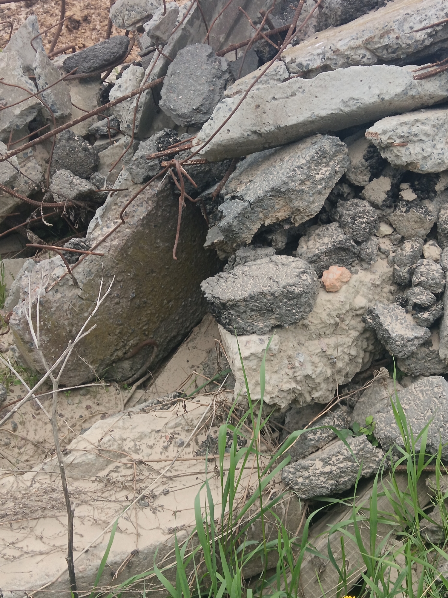 The image shows a pile of rubble consisting of broken concrete and asphalt fragments interspersed with rusted rebar, scattered dried vegetation, and fresh green grass shoots. The debris appears to be dumped on bare ground. There are no people visible. There is no evidence to confirm that this scene is in Яльгелево, Russia.