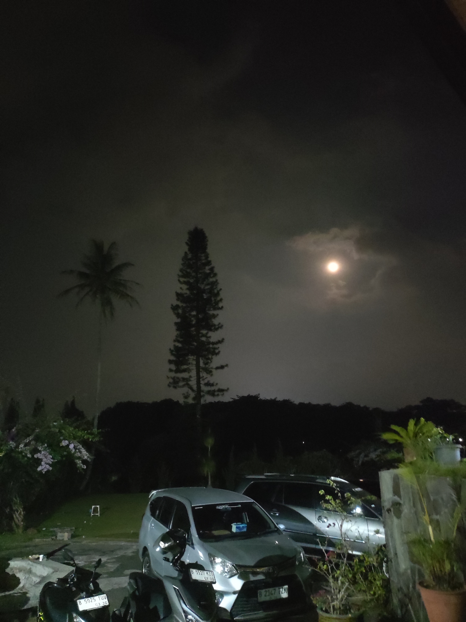 The image captures a nighttime scene in Cisarua, Indonesia, under a partially clouded sky illuminated by a bright moon. In the foreground, two motorcycles are parked. To their right, a silver minivan is parked, and behind it, another silver vehicle is visible. A lush, dark tree line forms the middle ground, with a distinct tall pine tree and a palm tree silhouetted against the sky. To the left of the frame, flowering branches hang down. The background is dominated by the dark sky with the moon peeking through the clouds. The scene suggests a residential or parking area at night, with natural elements present.