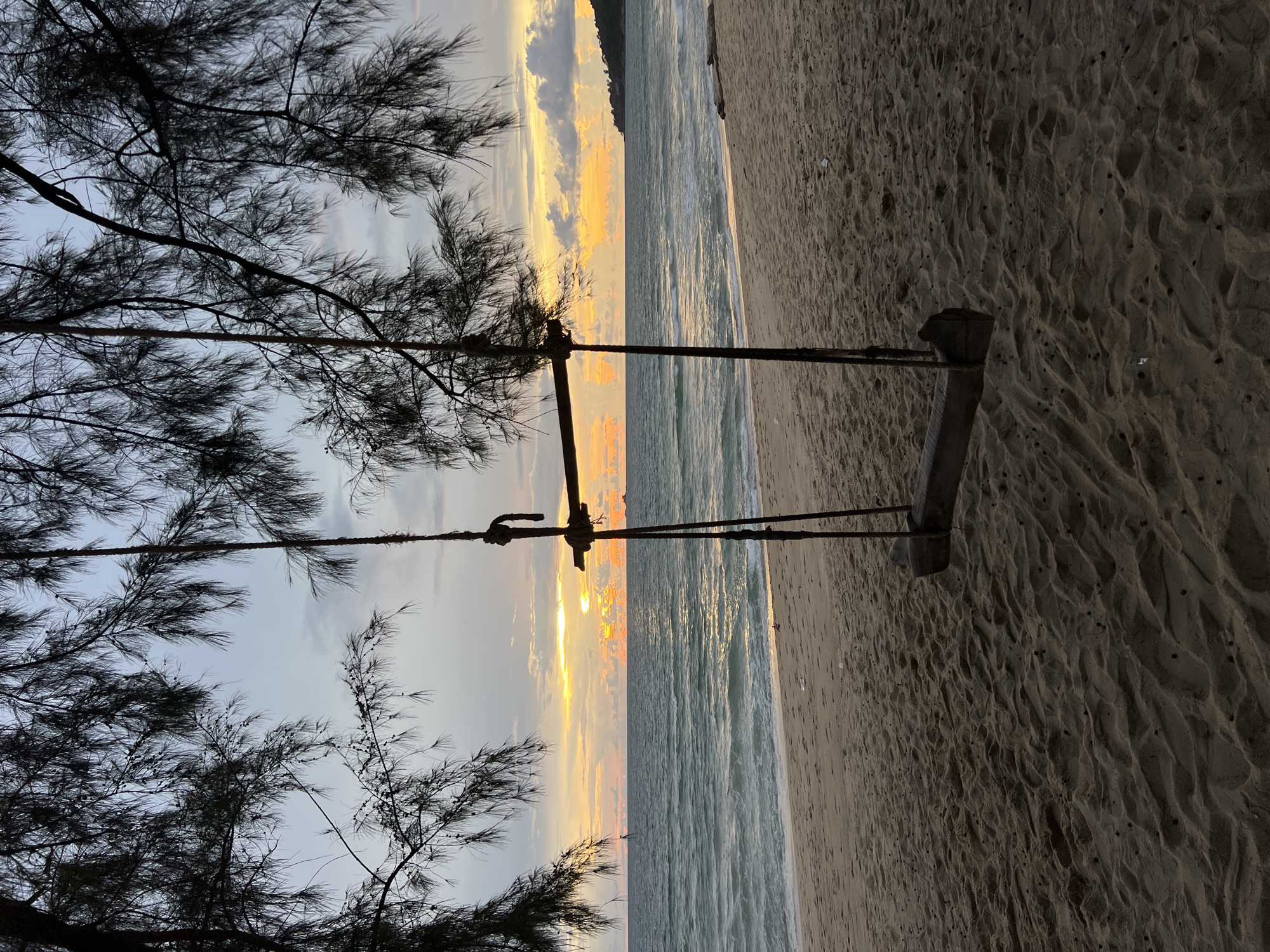 This is a vertical, eye-level, full shot of a beach at sunset. A wooden swing hangs from the branches of a tree in the foreground. The swing is positioned in the center of the frame, with its seat facing the viewer. The beach is made of light brown sand, with ripples and a few scattered dark specks. The ocean stretches out behind the beach, with small waves and a distant horizon. The sky is filled with warm colors of orange and yellow from the setting sun, with some scattered clouds. The branches of a tree frame the top of the image. The scene is tranquil and serene.