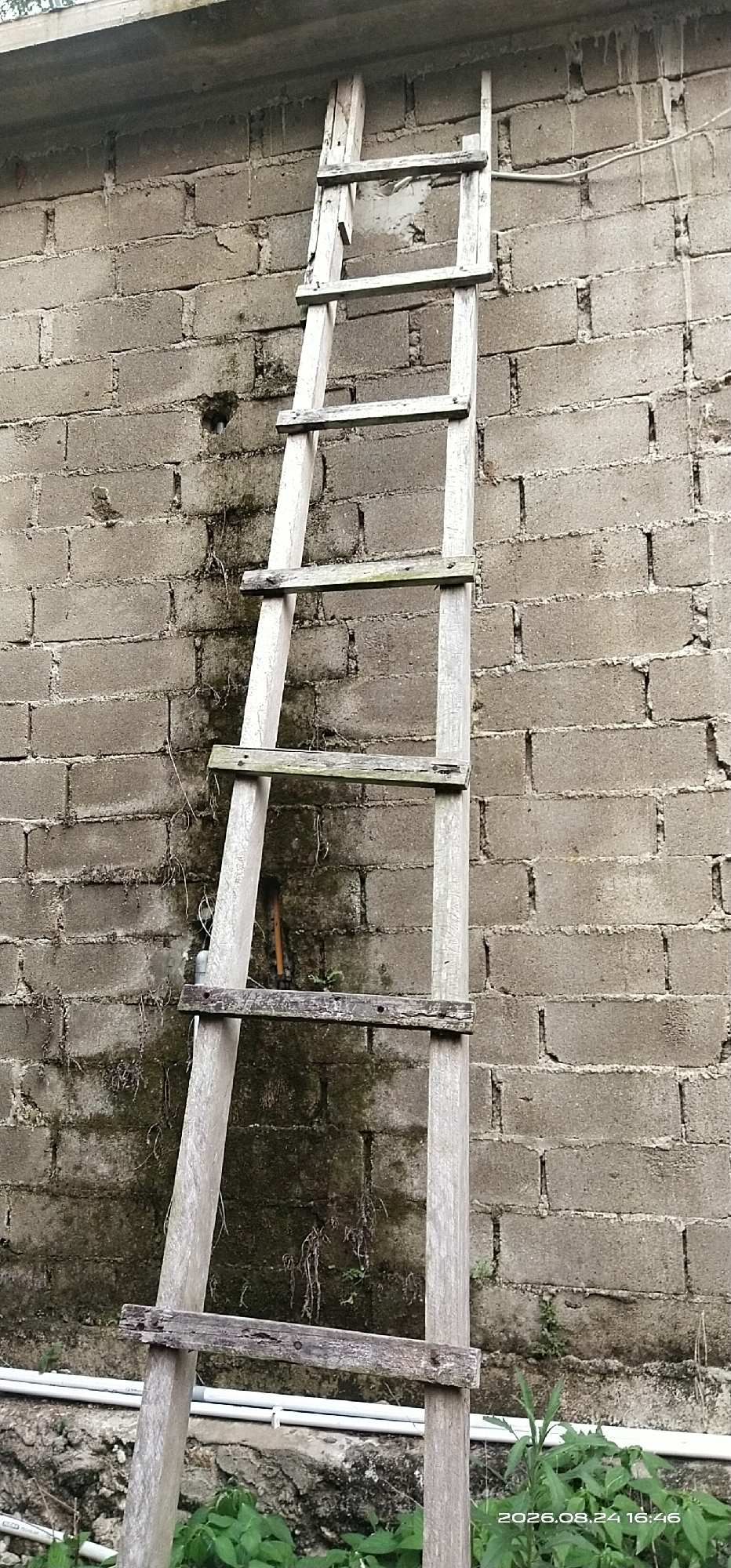 The image shows a weathered wooden ladder leaning against a grey cinder block wall. The ladder has several wooden rungs. The wall appears old and has some discoloration and moss growth. In the foreground, there is green foliage and white pipes running horizontally. A timestamp in the bottom right corner indicates "2026.08.24 16:46". The scene is an outdoor environment, likely in a backyard or alleyway. The location is identified as Matabu, Indonesia. There are no people or animals visible in the image. The overall impression is one of disuse and decay.