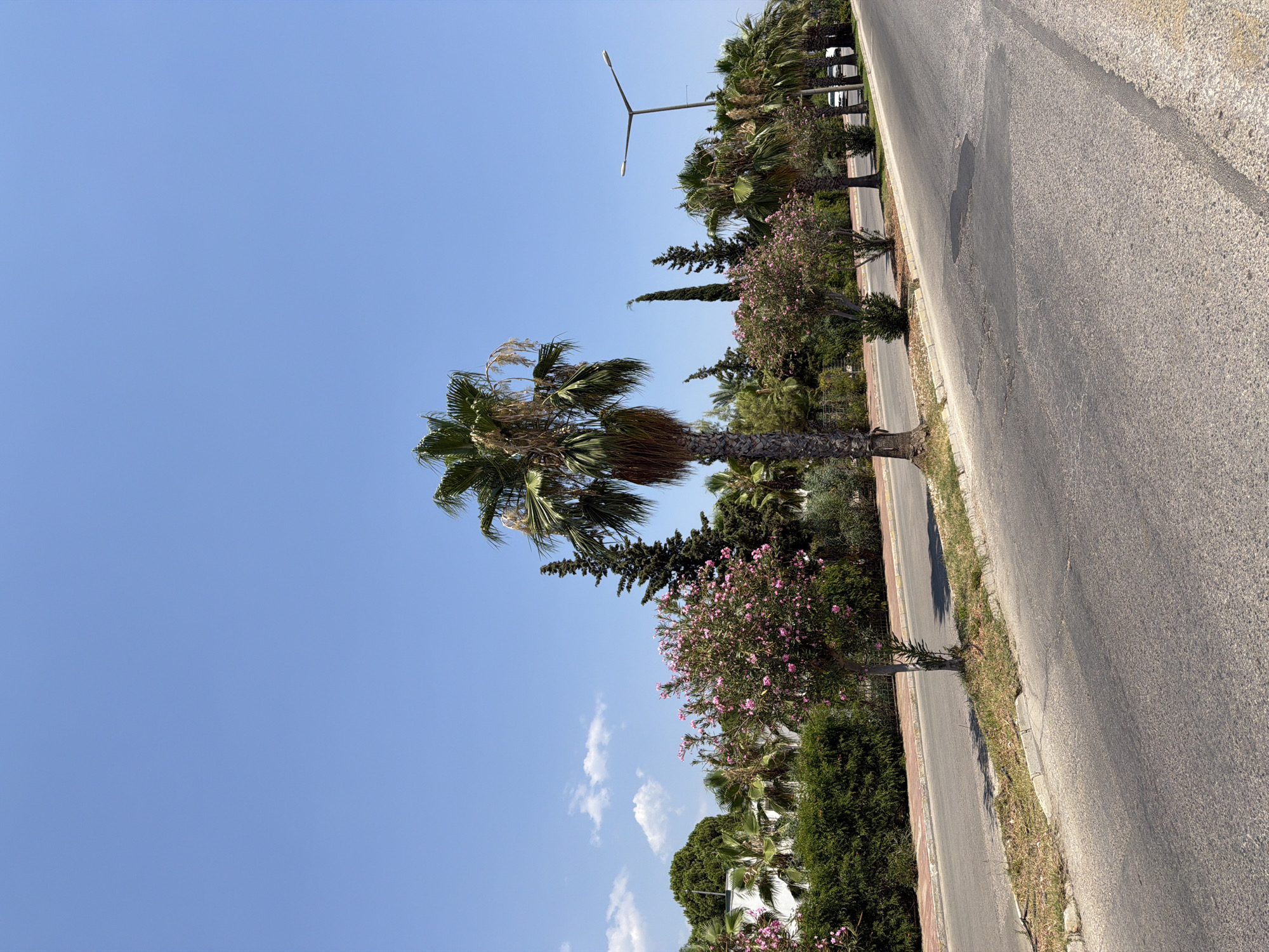 The image depicts a street scene in Kemer, Turkey, on a clear, sunny day. The foreground features an asphalt road with a slight curve, showing some wear and tear with a patch of dark repair work. A grass strip and a curb separate the road from a sidewalk made of red bricks and concrete.
Along the sidewalk, a variety of trees and foliage are visible. A prominent palm tree stands to the left, its fronds casting a shadow on the grass. Further down, a tree with pink flowers is in bloom, surrounded by manicured green hedges and more palm trees. Beyond the hedges, white buildings and more dense greenery can be seen.
To the right of the road, a line of palm trees continues along the sidewalk. A modern street lamp with a single light fixture stands tall. Several cars are parked or driving on the road in the distance, suggesting a relatively urban or semi-urban environment. The sky is a vibrant, cloudless blue, indicative of warm weather. The overall impression is a well-maintained street lined with tropical vegetation, characteristic of a coastal resort town.
