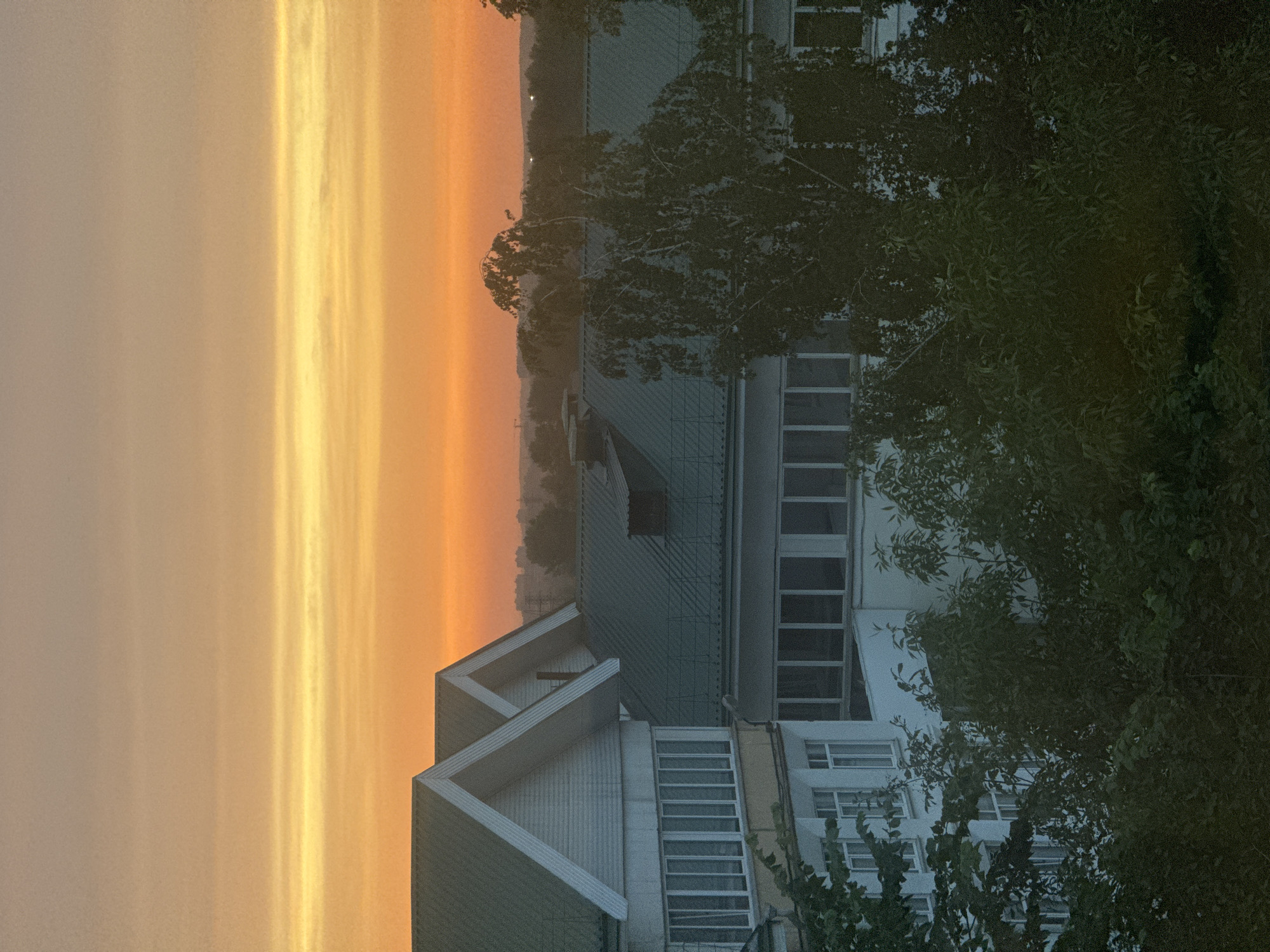 The image shows a view of buildings and trees against a sunset sky. The buildings appear to be apartments or multi-story residential structures with angled, dark-colored roofs and white-trimmed windows. The sky is filled with bands of orange, yellow, and muted gray, characteristic of a sunset. Trees with dense green foliage are in the foreground and middle ground, partially obscuring the buildings. In the distance, a hazy silhouette of more buildings and trees can be seen against the horizon. The overall scene suggests a view from an upper floor or elevated position in a residential area, likely in the city of Irkutsk, Russia, during twilight. There are no people visible in the image.