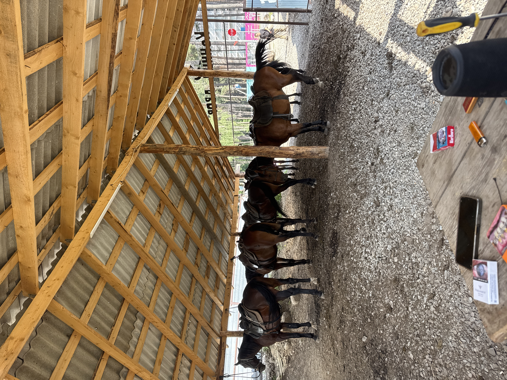In Arkhyz, Russia, a stable houses several saddled horses under a wooden-framed, corrugated roof. The ground is covered in gravel and dirt. In the foreground, a wooden table holds a smartphone, a pack of Marlboro cigarettes, a lighter, and a screwdriver. A black cylindrical object, possibly a speaker, is also on the table. In the background, a person stands near a fence with signage. The scene suggests a casual outdoor setting, possibly a recreational area or a place offering horse riding services.