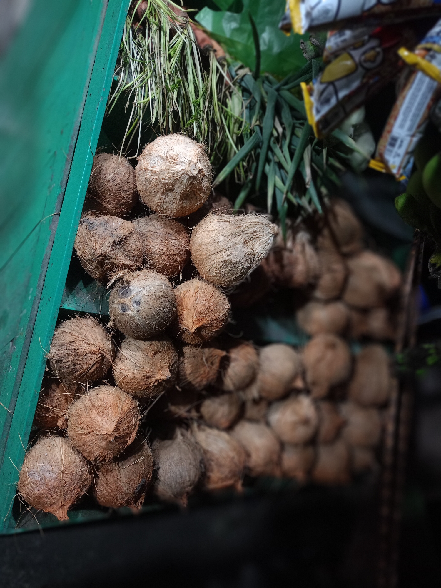 A close-up shot shows a stack of coconuts for sale at a market in Uteunreutoh, Indonesia. The coconuts, still in their fibrous husks, are piled in a green wooden shelf. Leeks and green foliage sit among the pile of coconuts. A few packages of snacks are behind the coconuts. The background is dark and blurred.