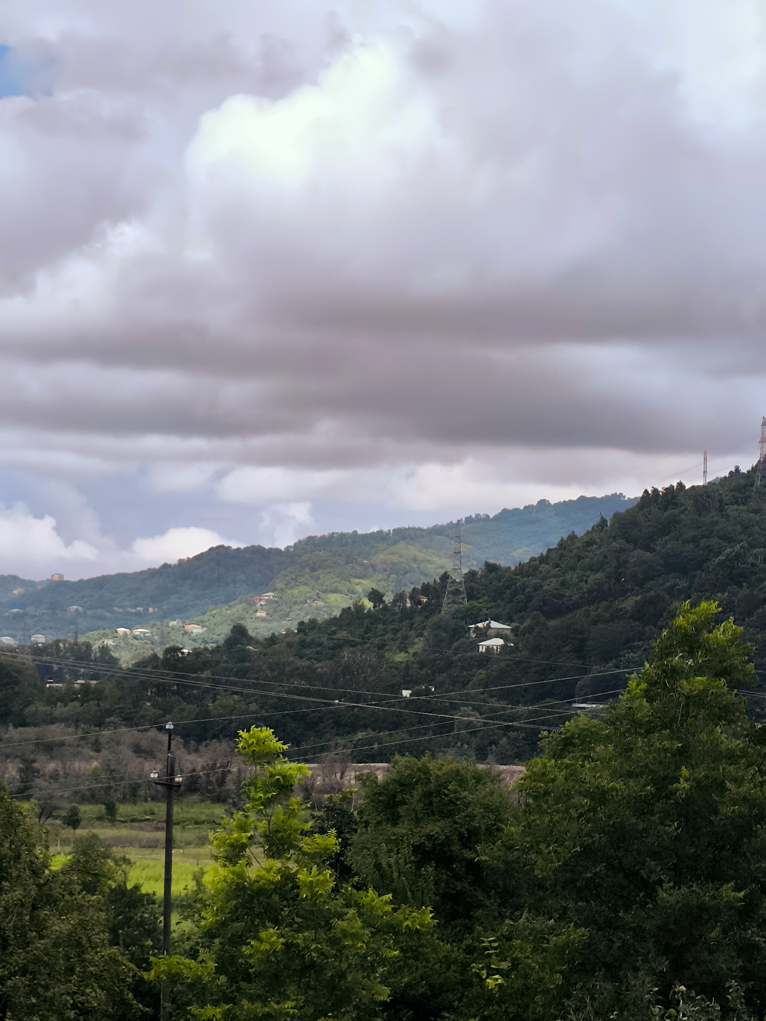 A daytime, medium shot captures a serene landscape dominated by rolling, densely forested hills under a cloudy sky. The foreground is filled with the lush green foliage of trees, with a prominent, bright green tree in the lower right and middle right, and a darker, more mature tree on the left. A single utility pole stands vertically on the left side of the image, adorned with insulators. In the middle ground, more trees and vegetation create a textured tapestry. Scattered across the hillsides are small, light-colored buildings, some appearing to be houses or small structures, suggesting a rural or semi-rural setting. A faint presence of power lines crisscrosses the scene, intermittently visible against the green backdrop. The sky is a canvas of gray and white clouds, with some areas showing brighter, illuminated patches, hinting at diffused sunlight. The overall atmosphere is tranquil and natural.