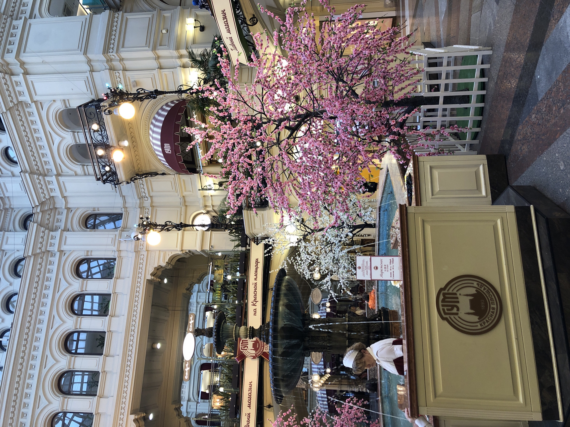 The image depicts an interior view of GUM (Главный универсальный магазин), a major department store in Moscow, Russia. A central fountain is visible, adorned with signs in Russian that indicate "Главный магазин на Красной площади" ("Main Store on Red Square"). Floral decorations, including pink and white flowering trees, enhance the ambiance. The architectural details of the building are visible, including arched windows, ornate balconies, and lamp posts. A vendor is visible near the fountain. A sign with the GUM logo and the inscription "Красная площадь" ("Red Square") is prominently displayed. The floor has a diagonally striped marble pattern.