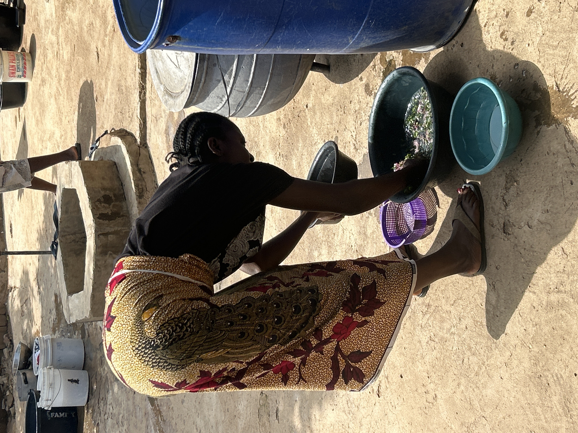 In Jos, Nigeria, a person with dark skin and braided hair, wearing a black t-shirt and a long, patterned skirt featuring a peacock design, is washing items in a black basin. The basin contains water and what appear to be small green vegetables or peas. Next to it is a smaller, teal-colored basin with only water. A small purple woven basket sits between the two basins. The ground is a concrete or dusty surface. In the background, there are several large containers, including a blue plastic barrel and a gray metal drum. A concrete well or structure is also visible, along with other buckets and pots. Sunlight casts shadows on the ground.