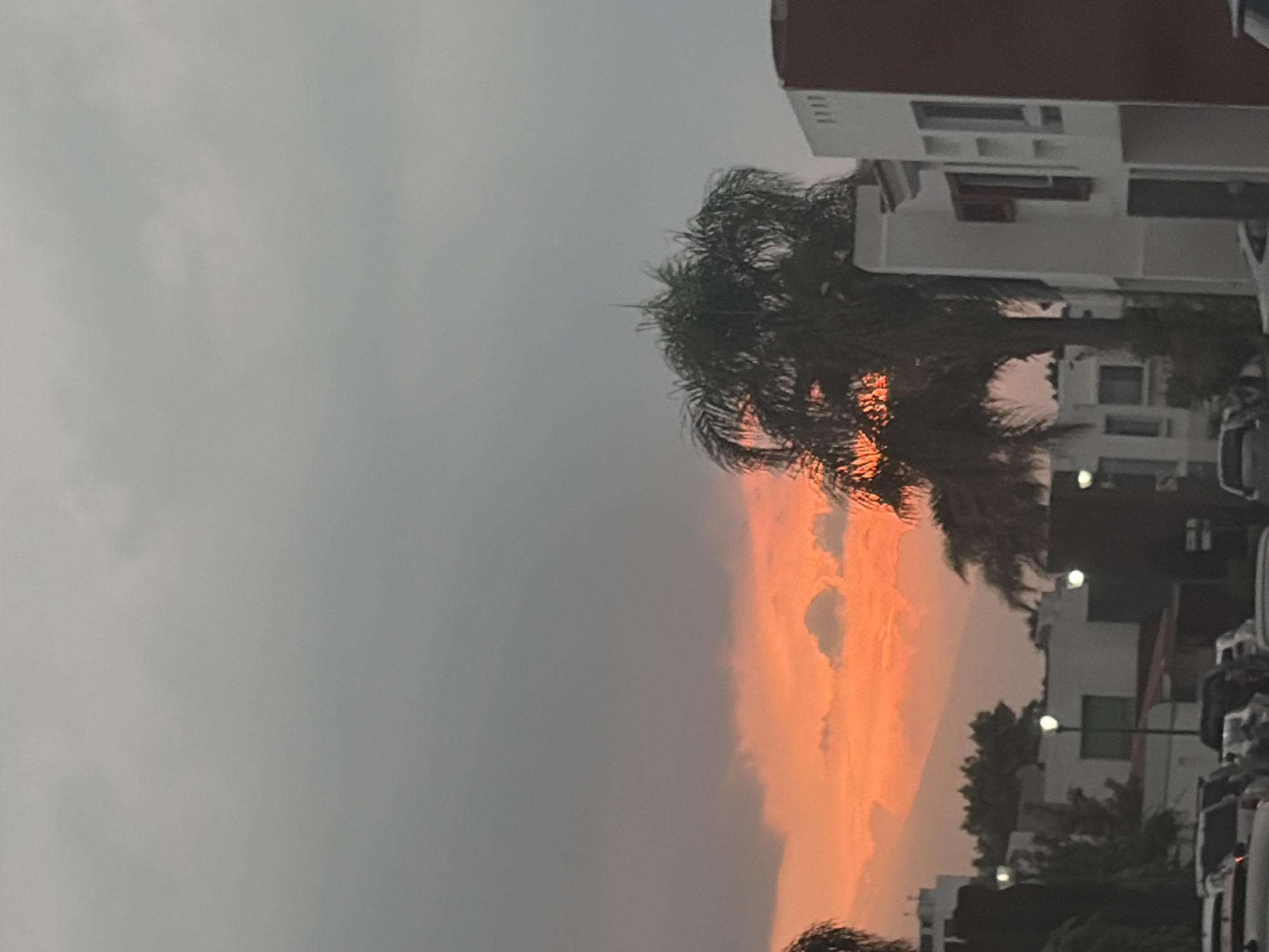 The image shows a sky with an orange and gray cloud formation, likely at sunset or sunrise. A palm tree is silhouetted against the colorful sky. To the right of the tree, there's a building with a light-colored facade. Cars are parked alongside the road near the building. Streetlights are visible.