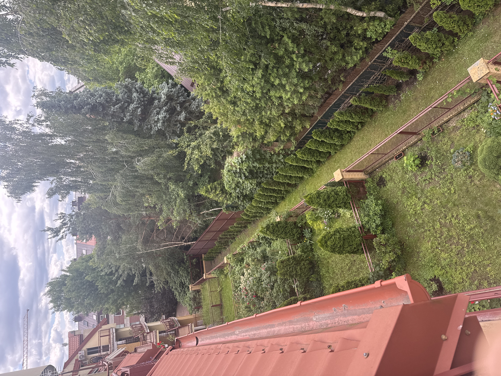 An aerial, full shot captures a residential area in Białystok, Poland, on an overcast day. A red-tiled roof and gutter dominate the foreground, extending from a multi-story building with balconies. Beyond the building lies a meticulously maintained garden featuring a neatly mowed lawn, a flower bed with red roses, several evergreen trees, and a brown metal fence. A row of cone-shaped evergreen trees lines the walkway parallel to the fence. In the background, dense trees and other buildings are visible under a cloudy sky, with a construction crane in the distance. There are no people or animals present in the image.