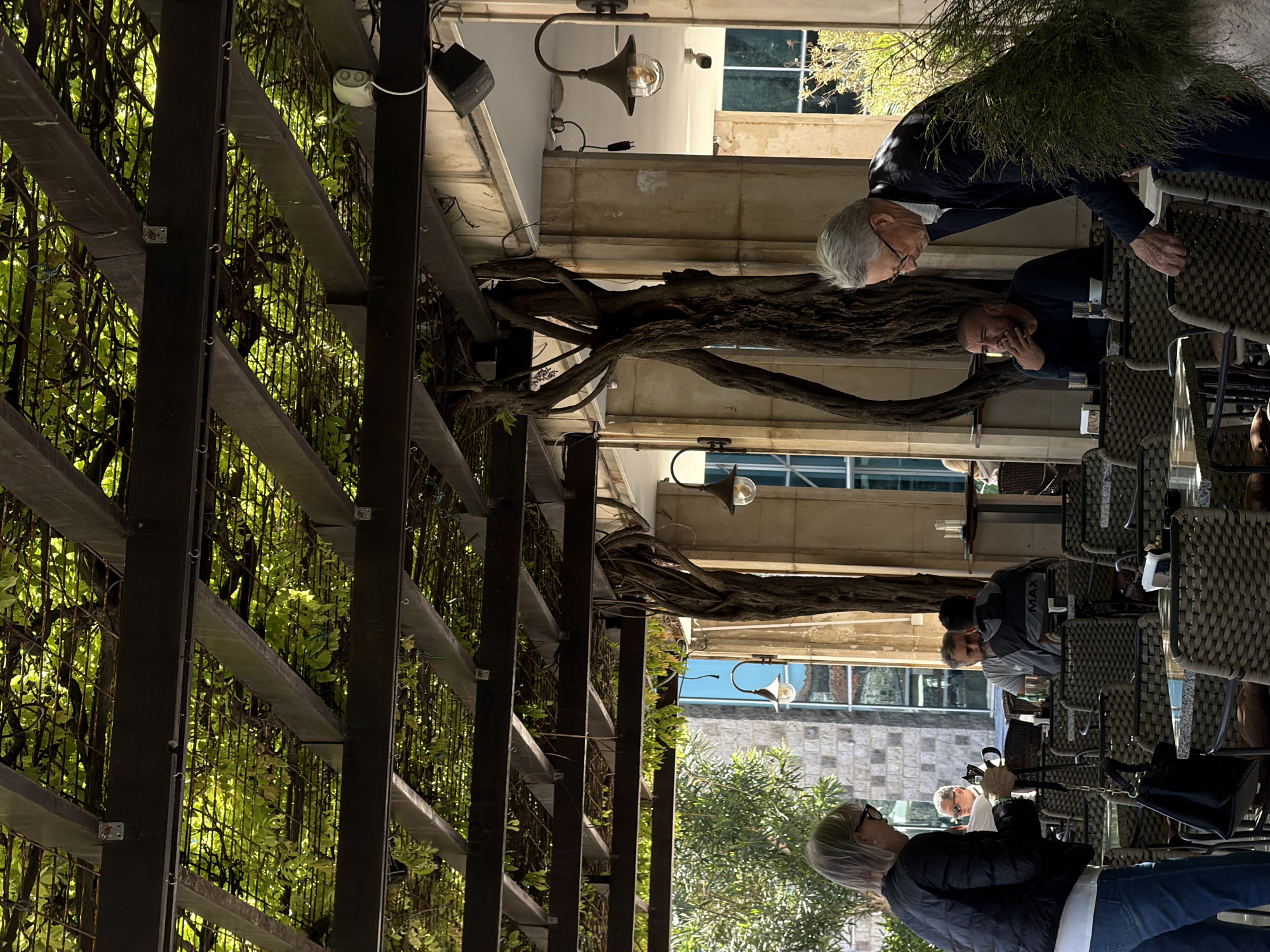 This media file captures an outdoor or semi-outdoor dining area, likely a cafe or restaurant patio, in what appears to be a Mediterranean or Balkan town like Budva, Montenegro. The scene is illuminated by bright daylight, suggesting a sunny day.
The most prominent feature is an overhead trellis structure, heavily covered with lush green vines and foliage, creating a shaded canopy. Large, gnarled tree trunks and branches are integrated into the building's facade and structure, suggesting mature trees growing through the establishment.
Several individuals are present. In the mid-ground, a man with gray hair and glasses, wearing a dark blazer over a lighter shirt, stands leaning forward, looking down. Near him, another man with short dark hair and a dark shirt is seated at a table, appearing contemplative or engaged in conversation. Further back, multiple rattan-style tables and chairs are arranged, some occupied by other people. One man's grey t-shirt faintly displays the text "MAX". In the foreground/mid-ground, a woman with blonde/gray hair, dressed in a dark puffer jacket and blue jeans, stands holding a black cane or umbrella and a black handbag, looking away from the camera. Another man with glasses is visible seated in the background.
The background reveals parts of a building with light-colored stone walls and modern windows, reflecting blue sky and trees. Wall-mounted light fixtures and a small security camera are visible on the building and trellis structure. The overall atmosphere appears relaxed and social, characteristic of an outdoor eatery.