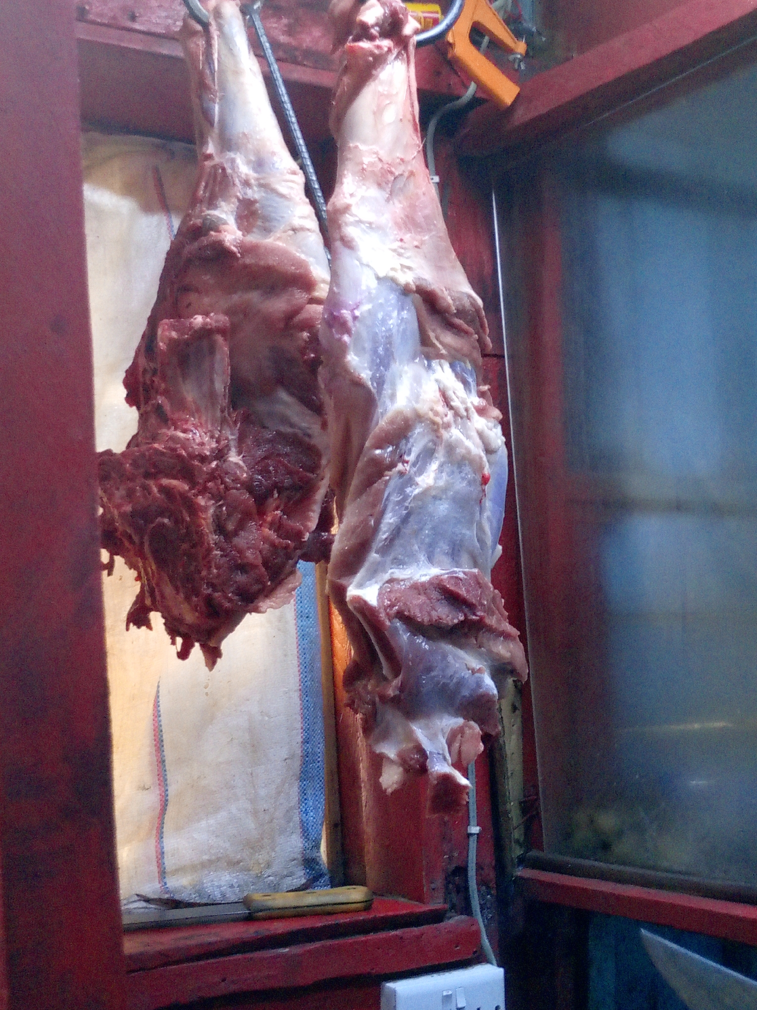 The image shows two sides of raw meat hanging from metal hooks inside what appears to be a butcher shop or meat storage area. The meat is red and partially butchered, with bones visible. The surrounding environment is a red-painted structure with a textured white cloth behind one piece of meat. There's an electrical outlet visible on the bottom right. The setting suggests a commercial food preparation or sales environment, possibly located in Nairobi, Kenya. There are no people visible in the image.